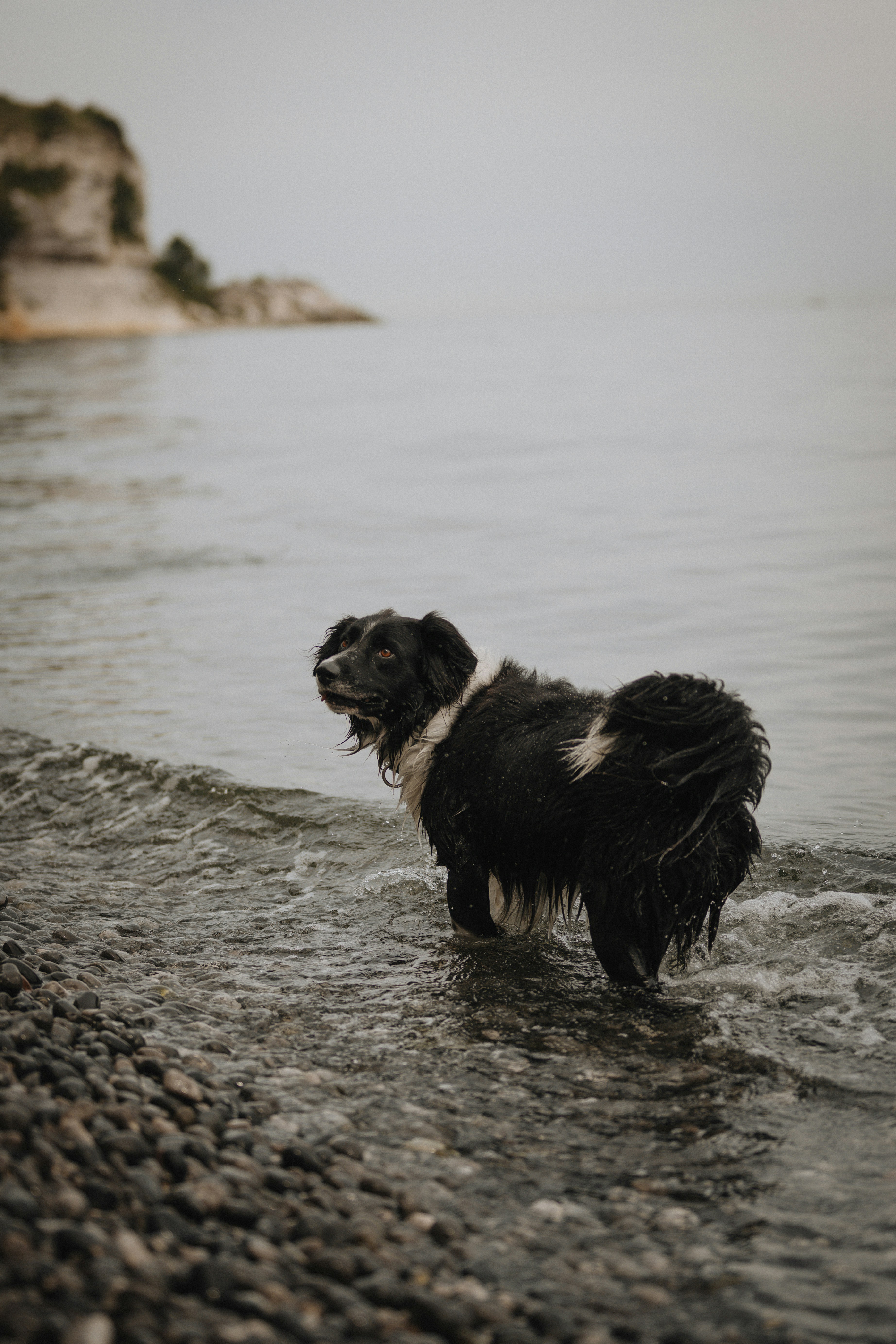 Photo by borysenkodasha