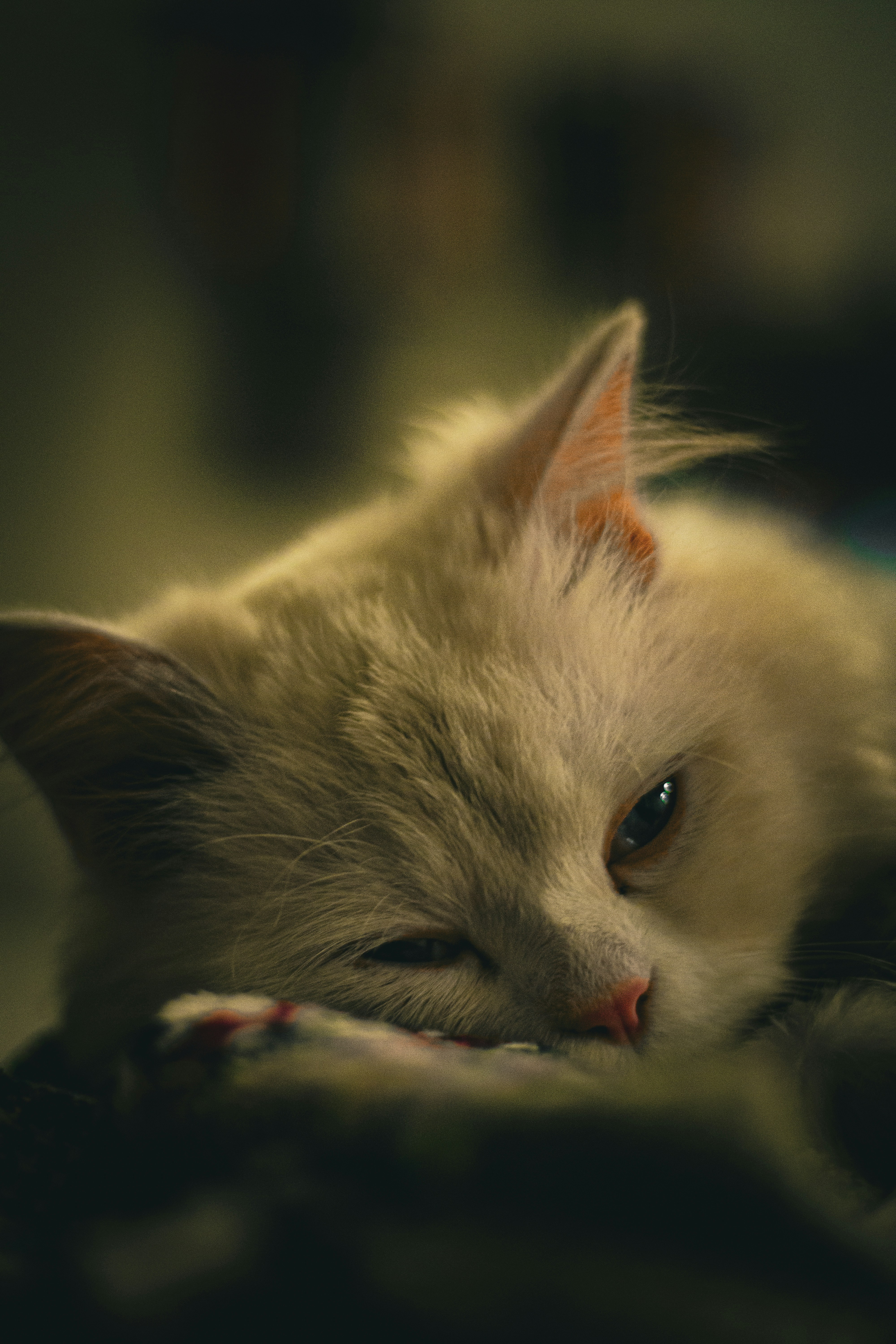 Photo by hassanfaisal