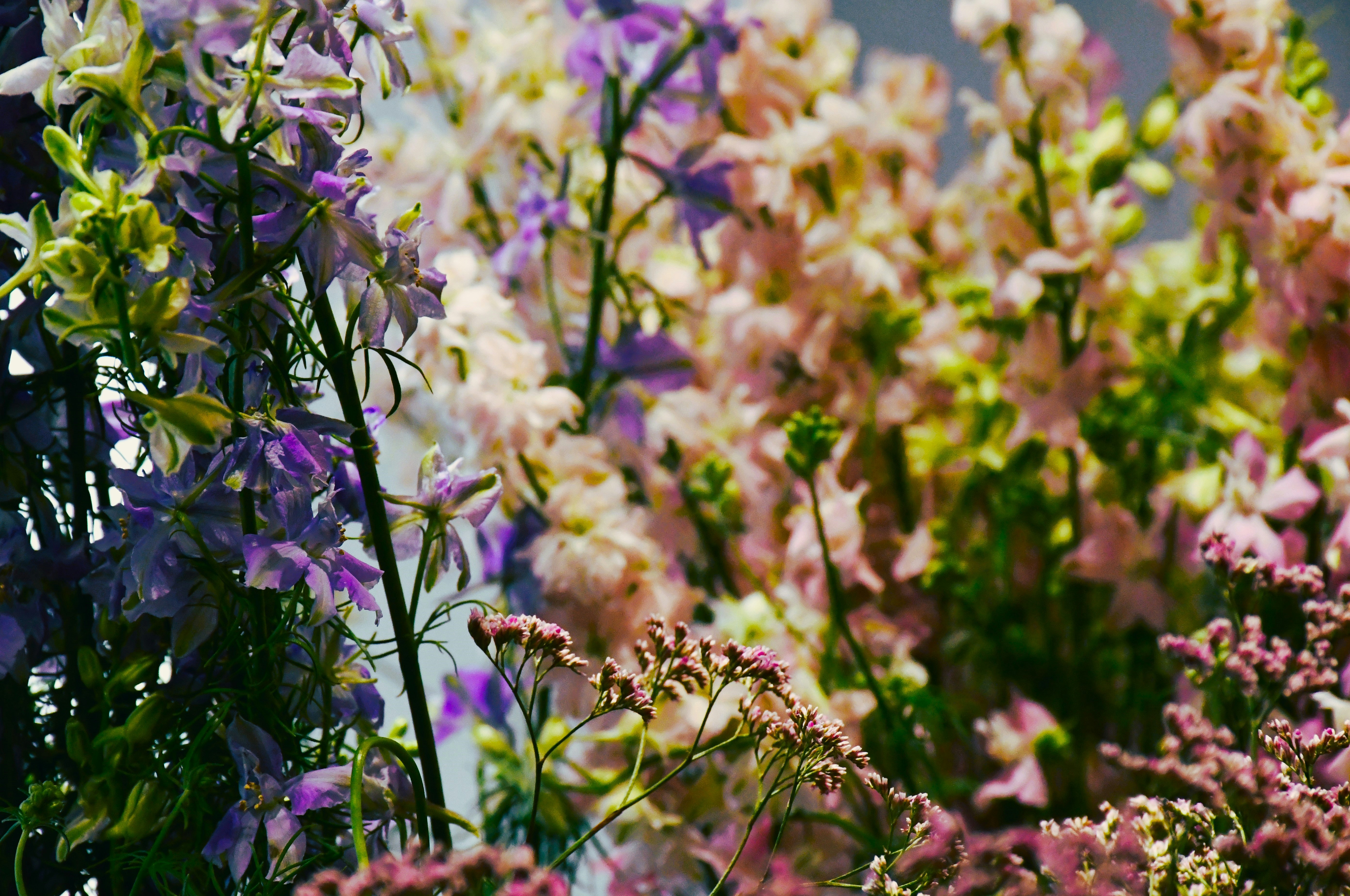 A bunch of flowers that are in a vase