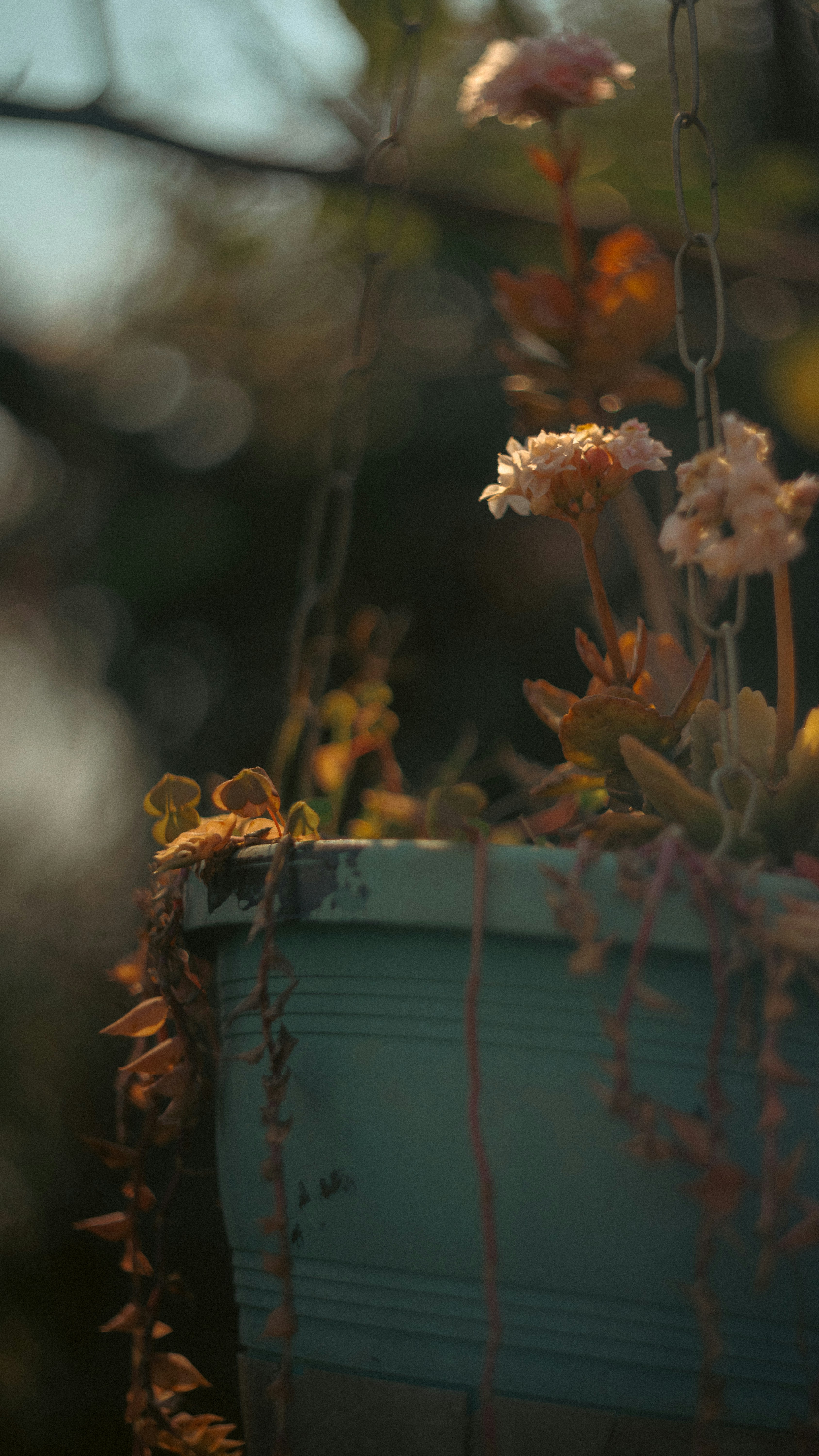 A planter filled with lots of flowers sitting on top of a wooden table