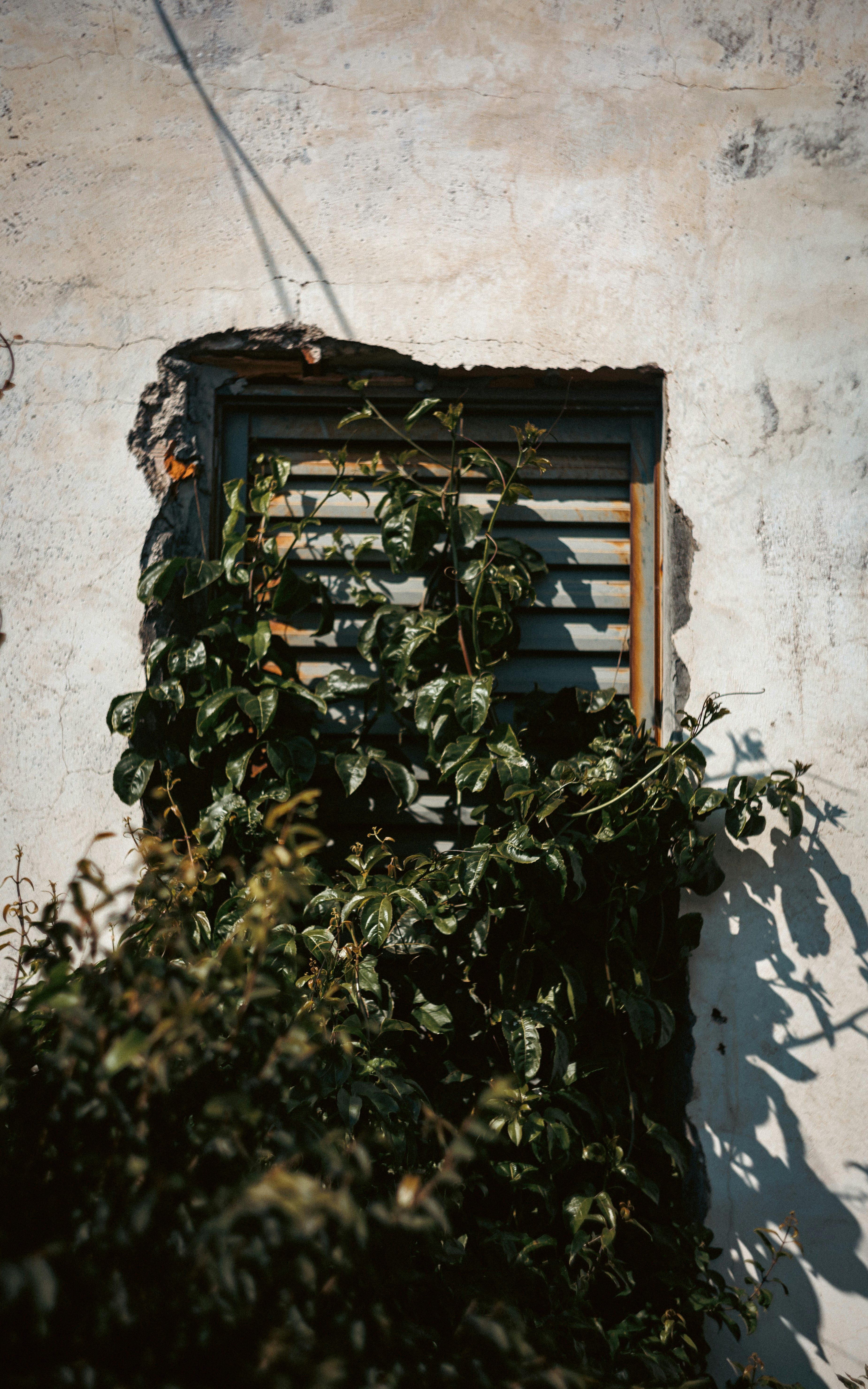 Photo by lucasdalamartaphoto