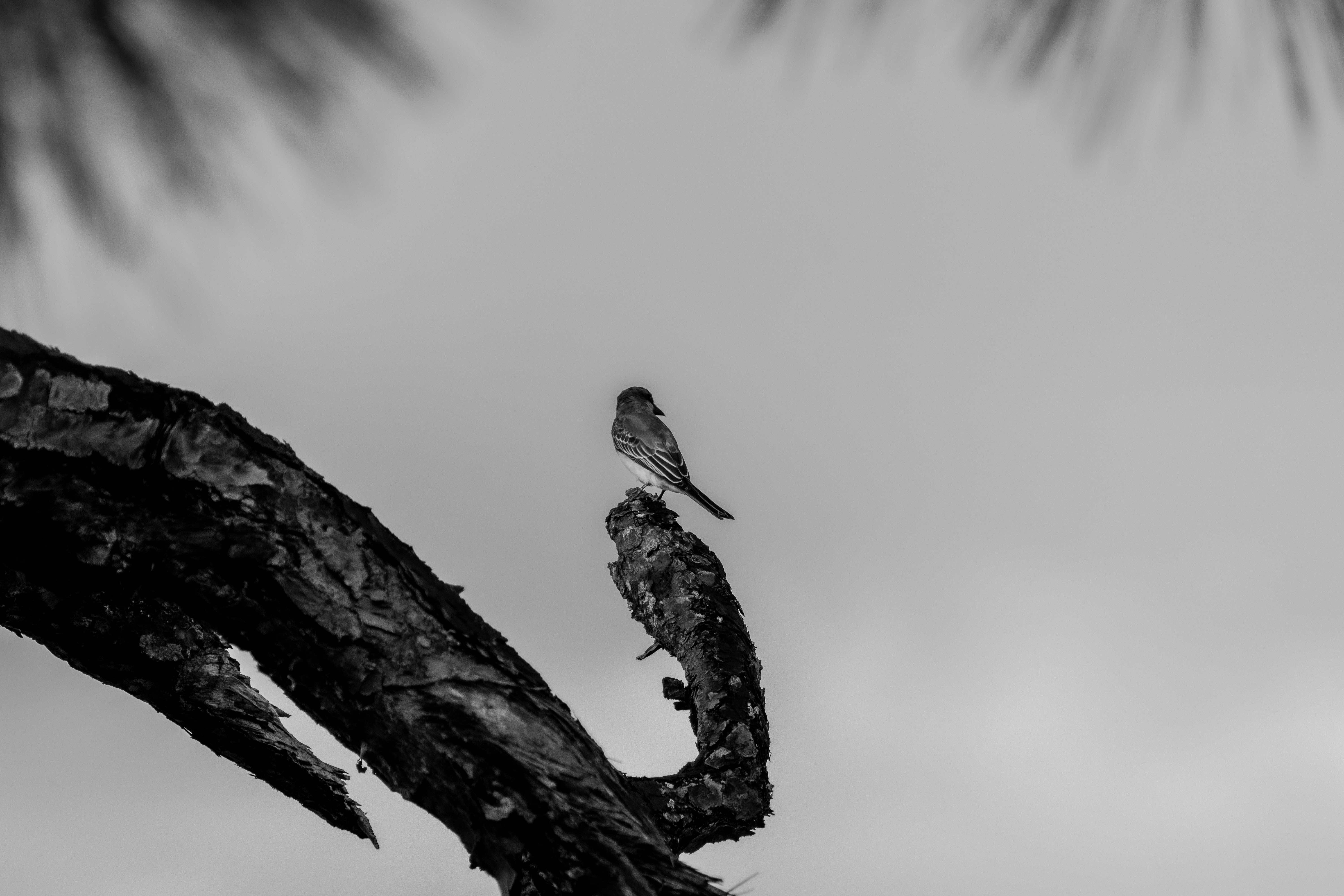 Photo by adriancross05