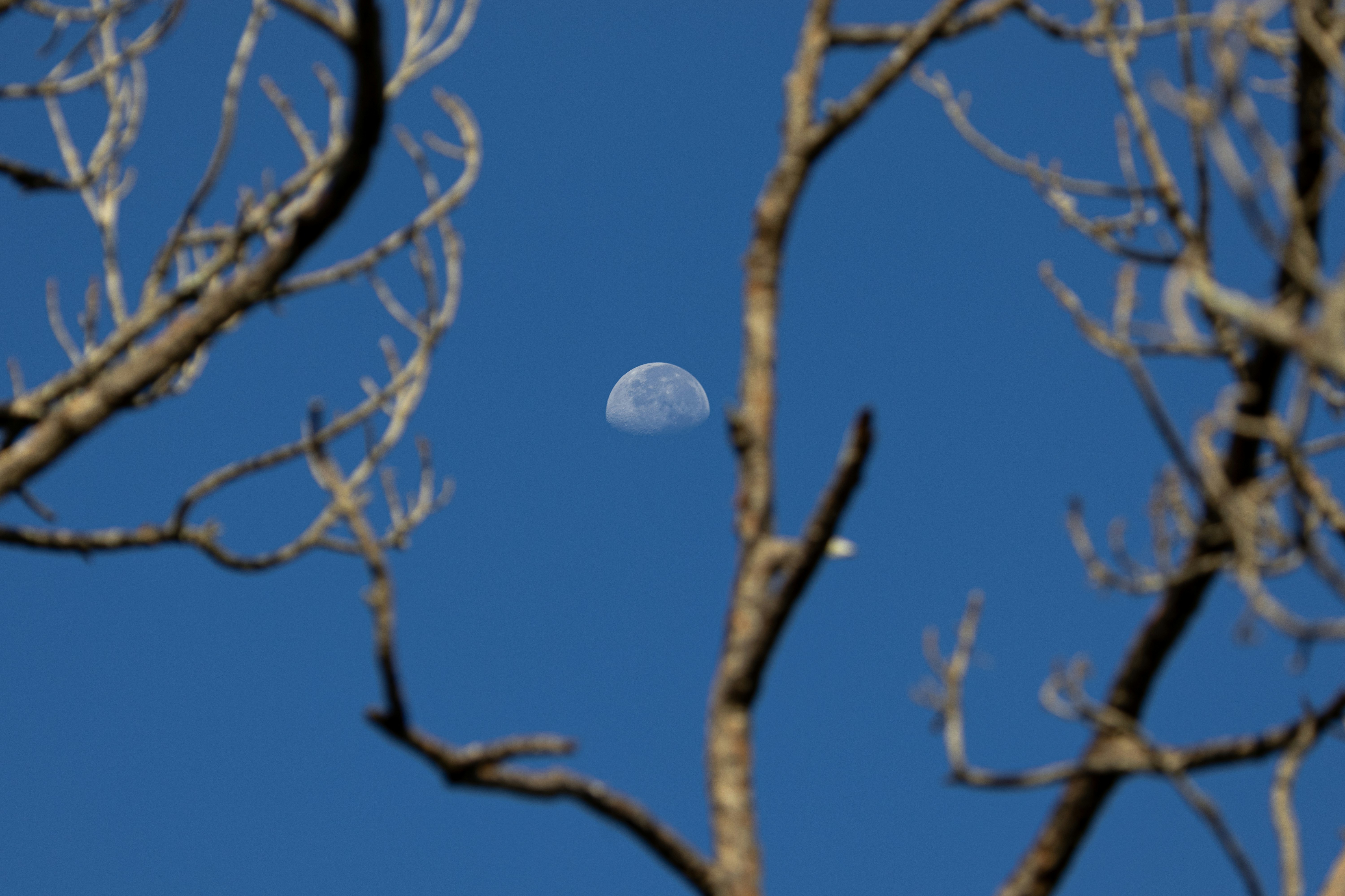 Photo by adriancross05