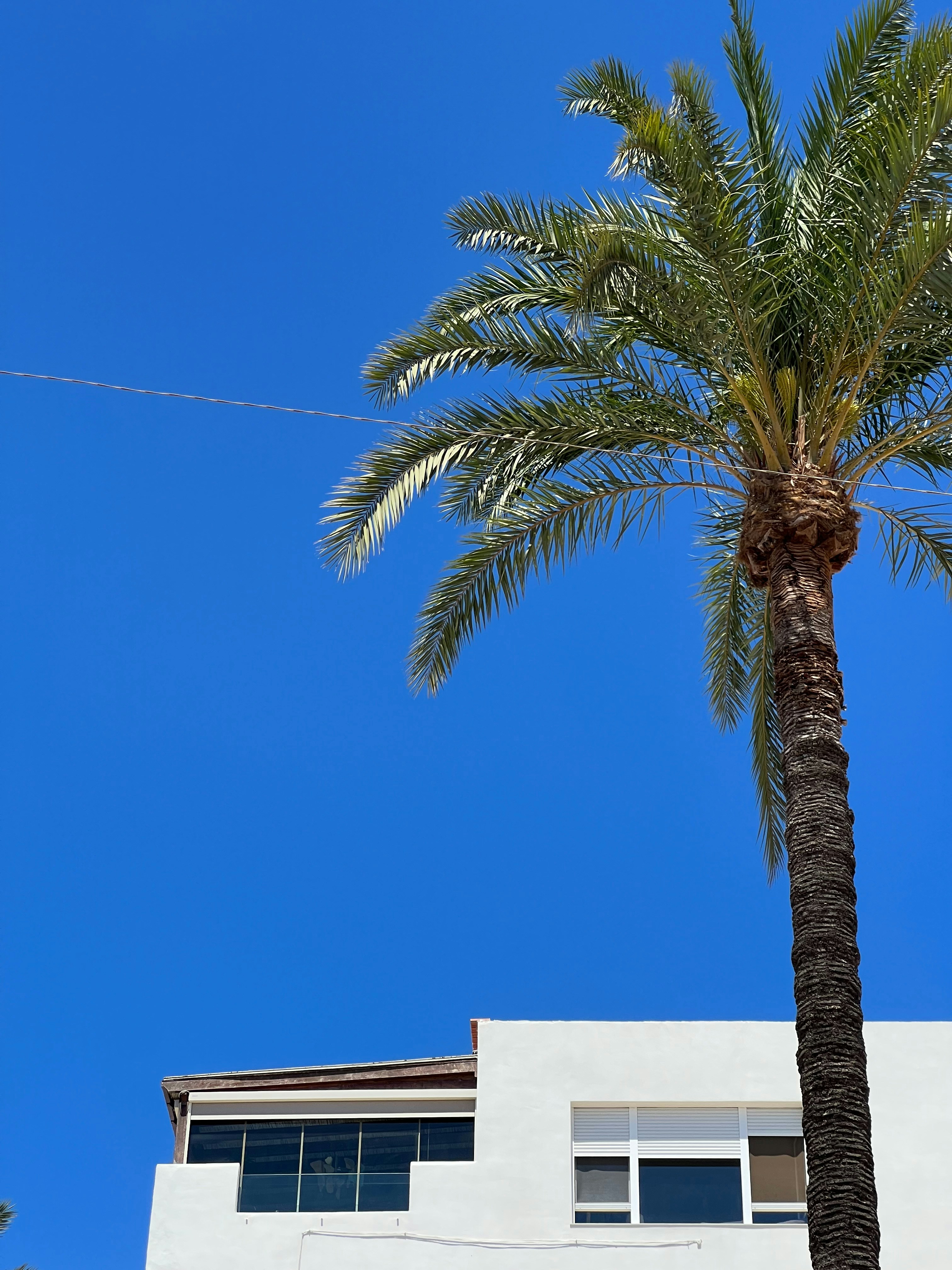 Florentine Masset (@florentinemsst) | Unsplash 사진 커뮤니티