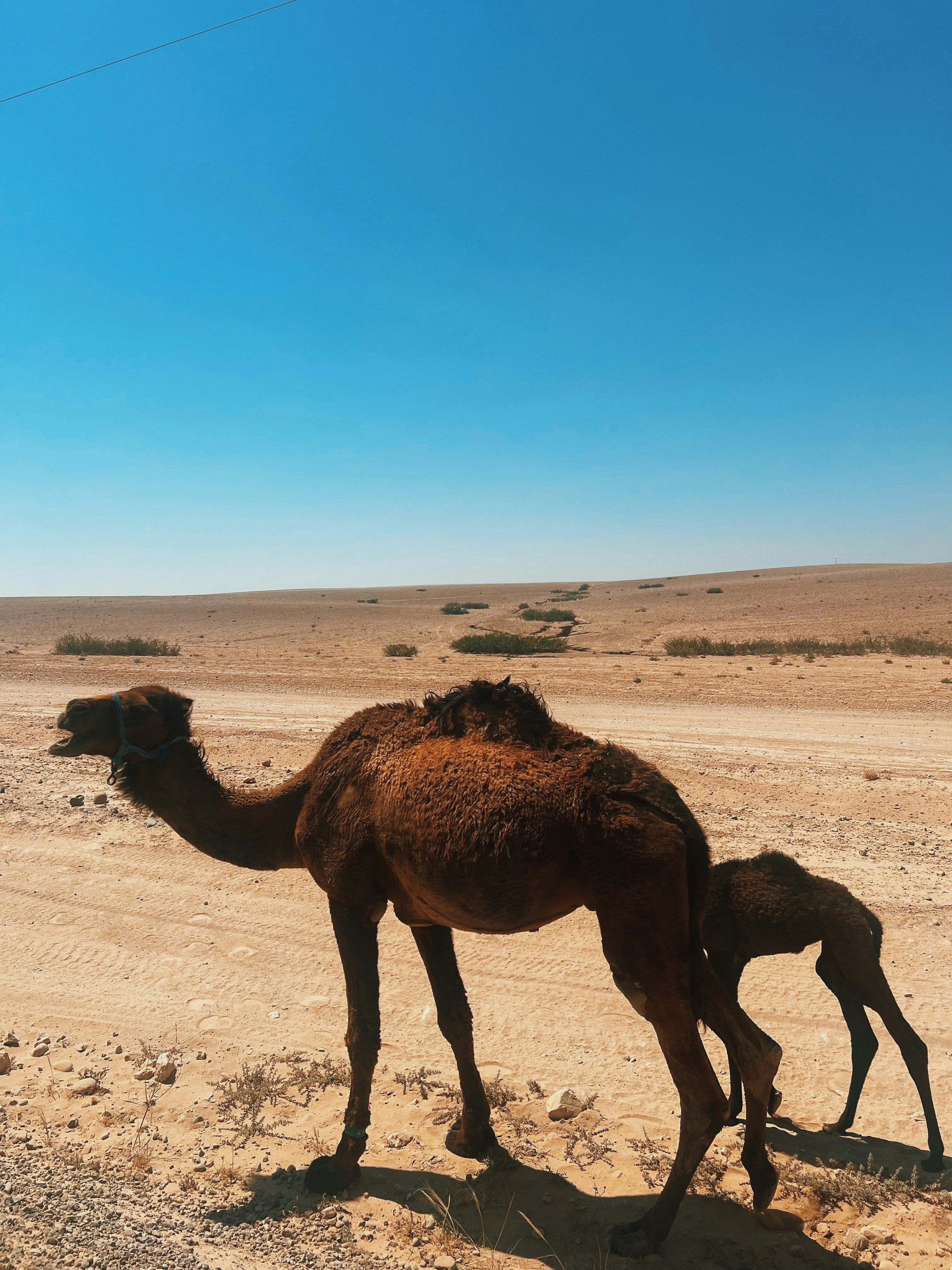 Florentine Masset (@florentinemsst) | Unsplash 사진 커뮤니티