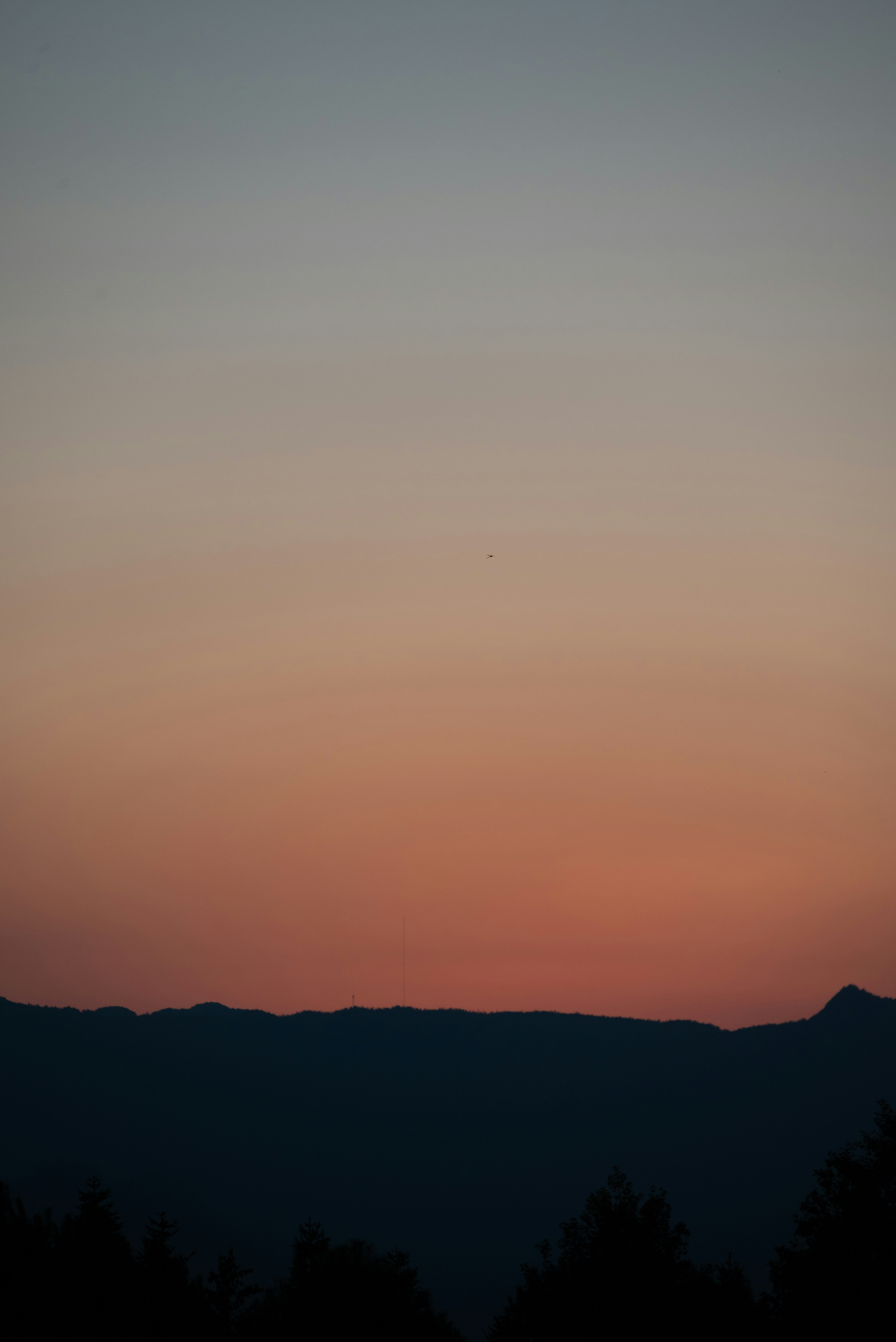 A plane flying in the sky at sunset