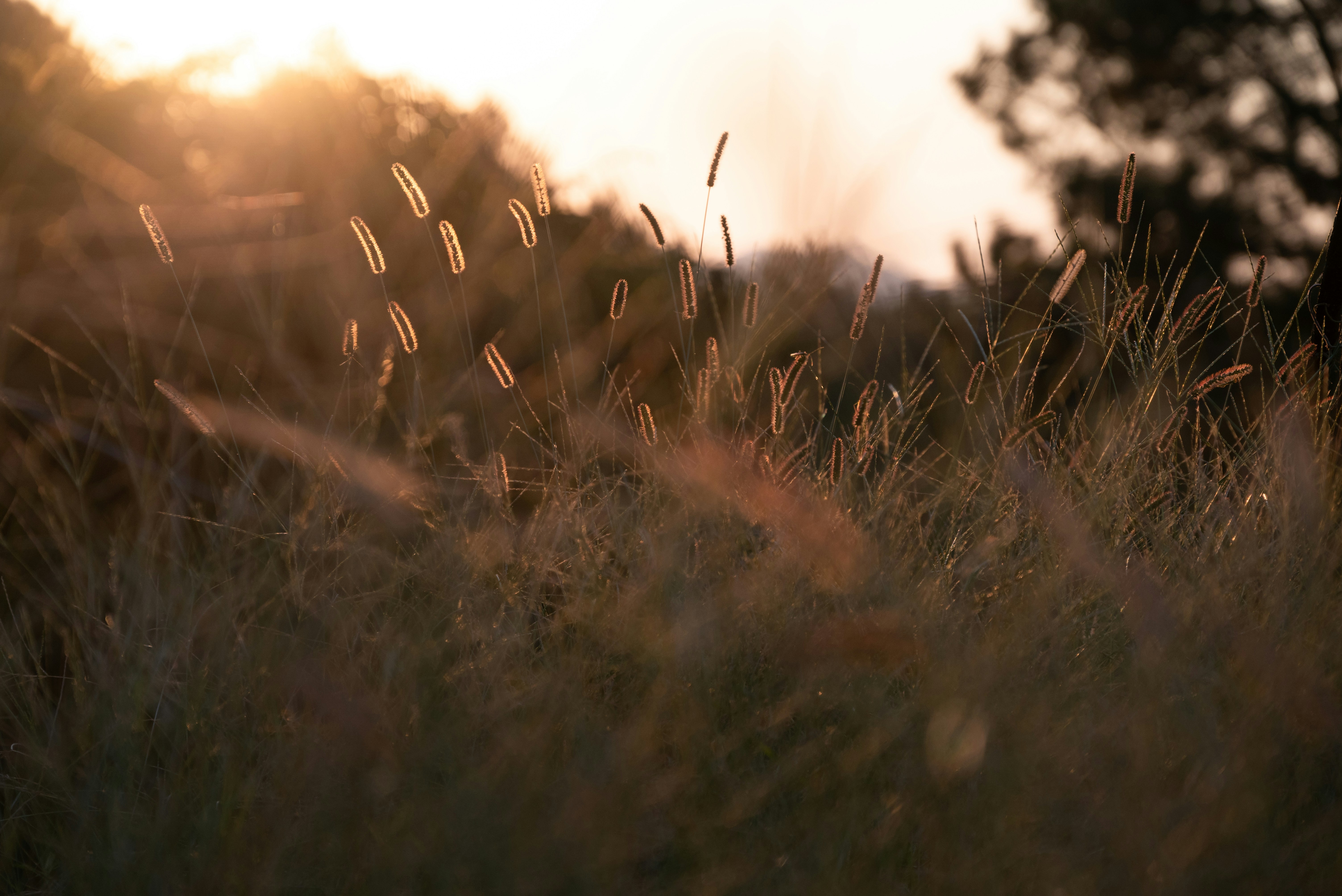 Photo by nikol_royce