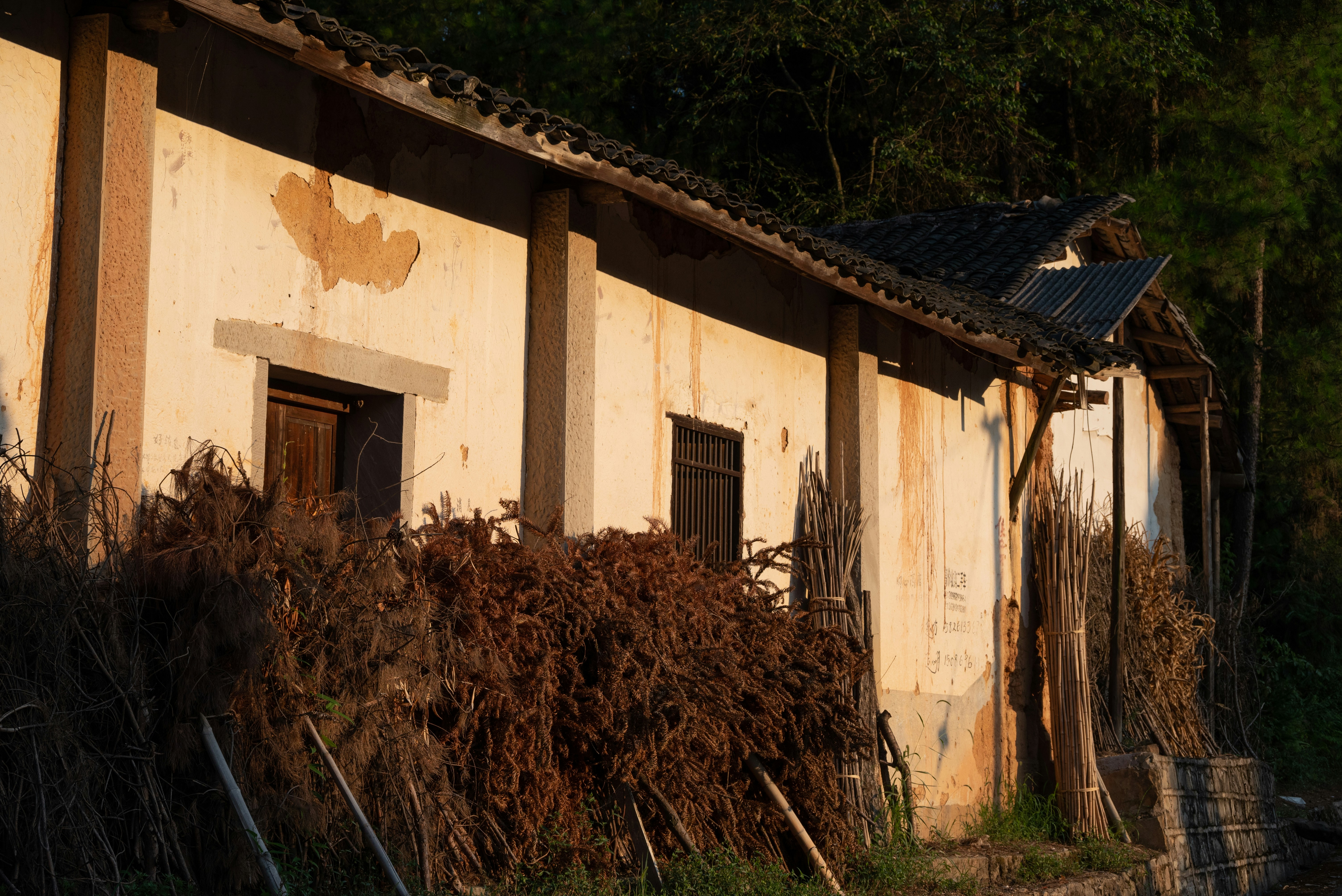 Photo by nikol_royce