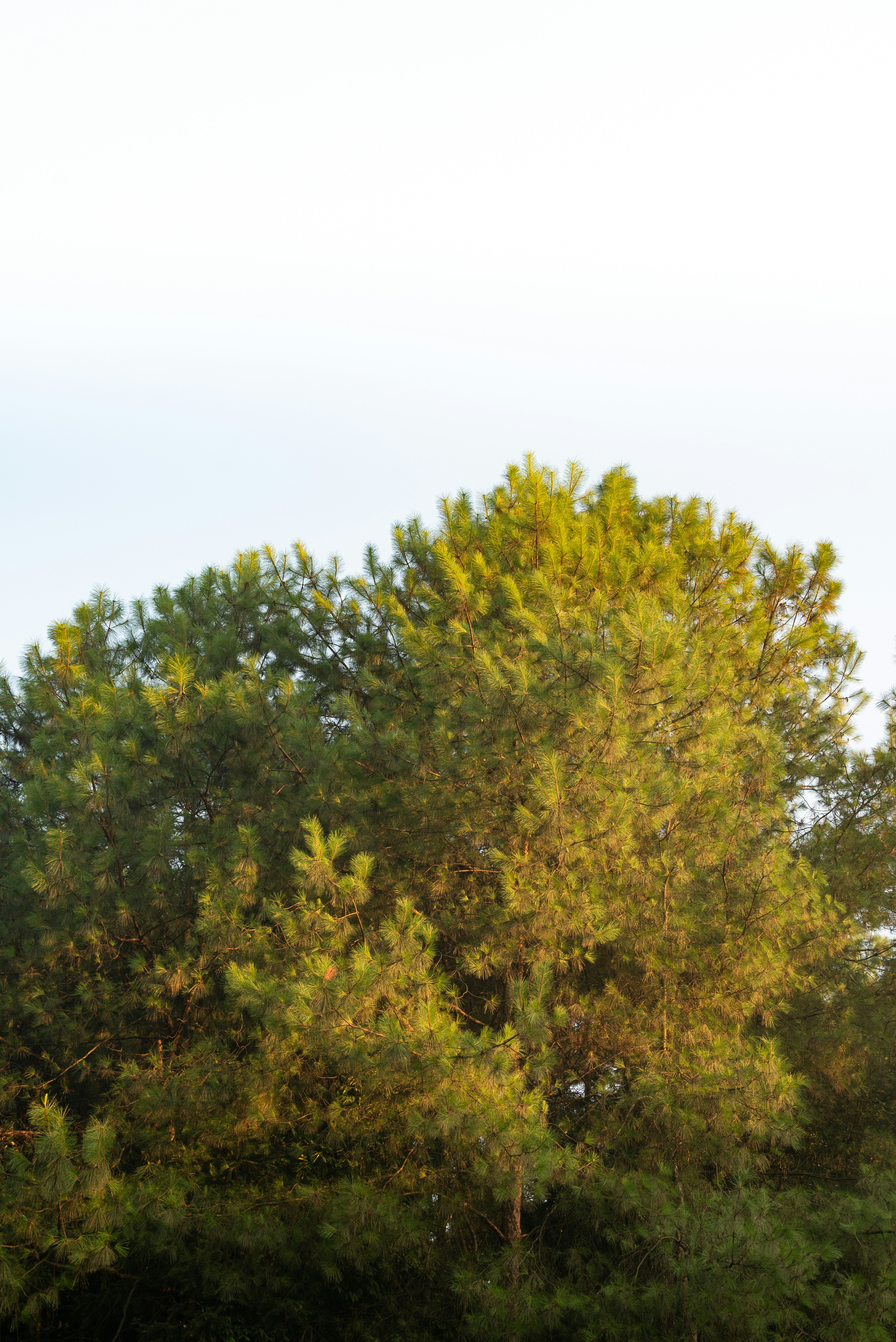 Photo by nikol_royce