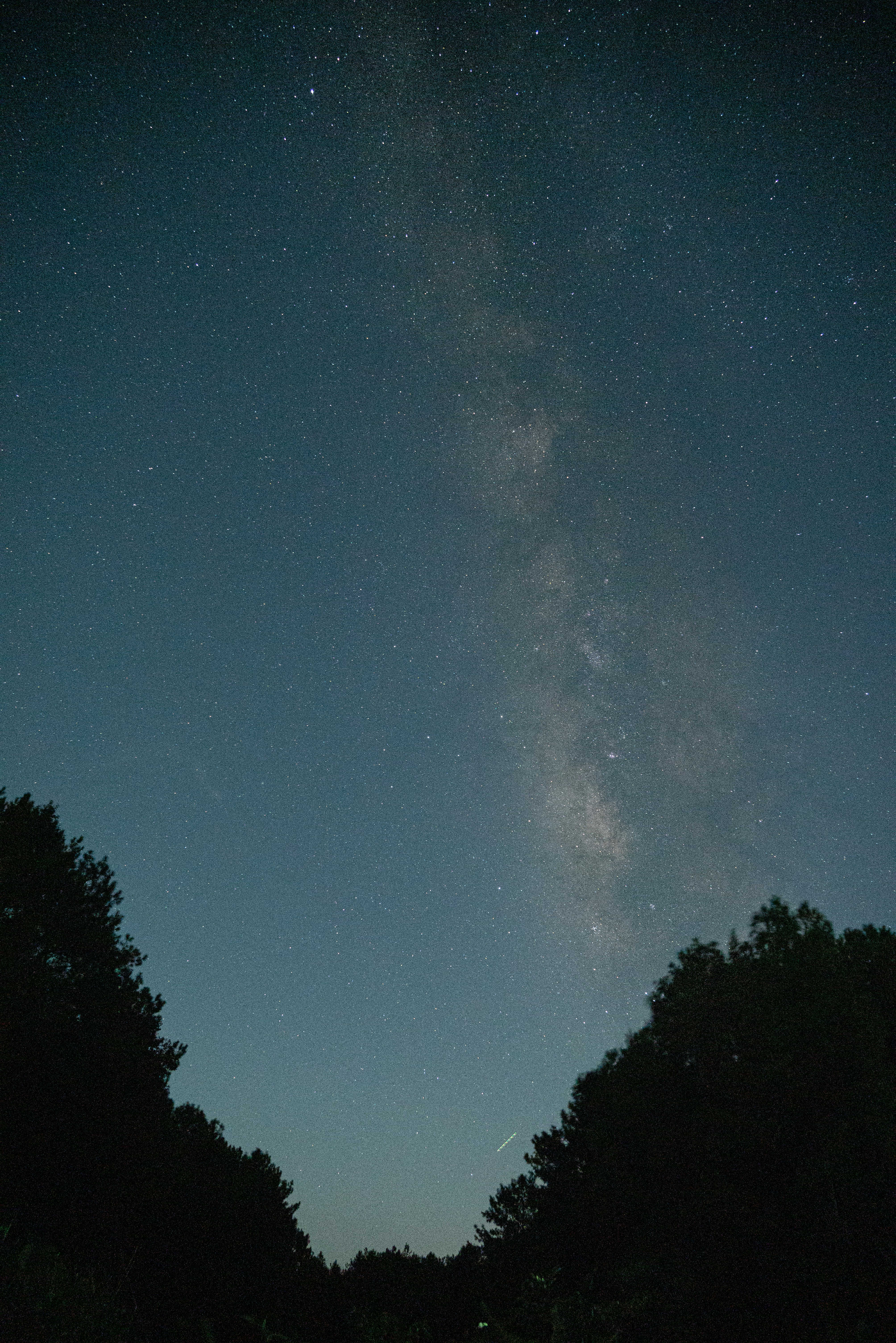 Photo by nikol_royce