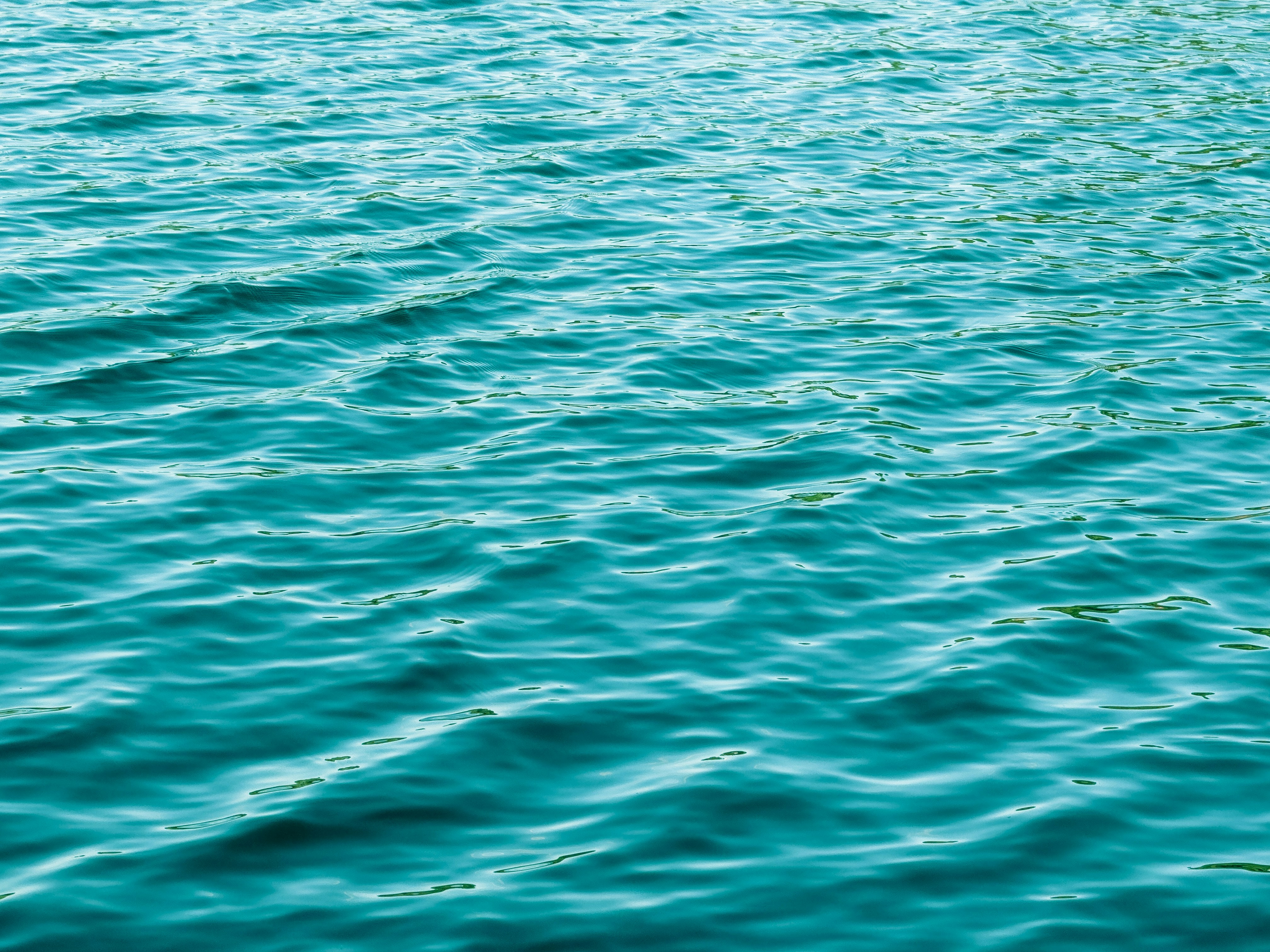 18 Iconic Jaws Quotes That Still Make You Fear the Water