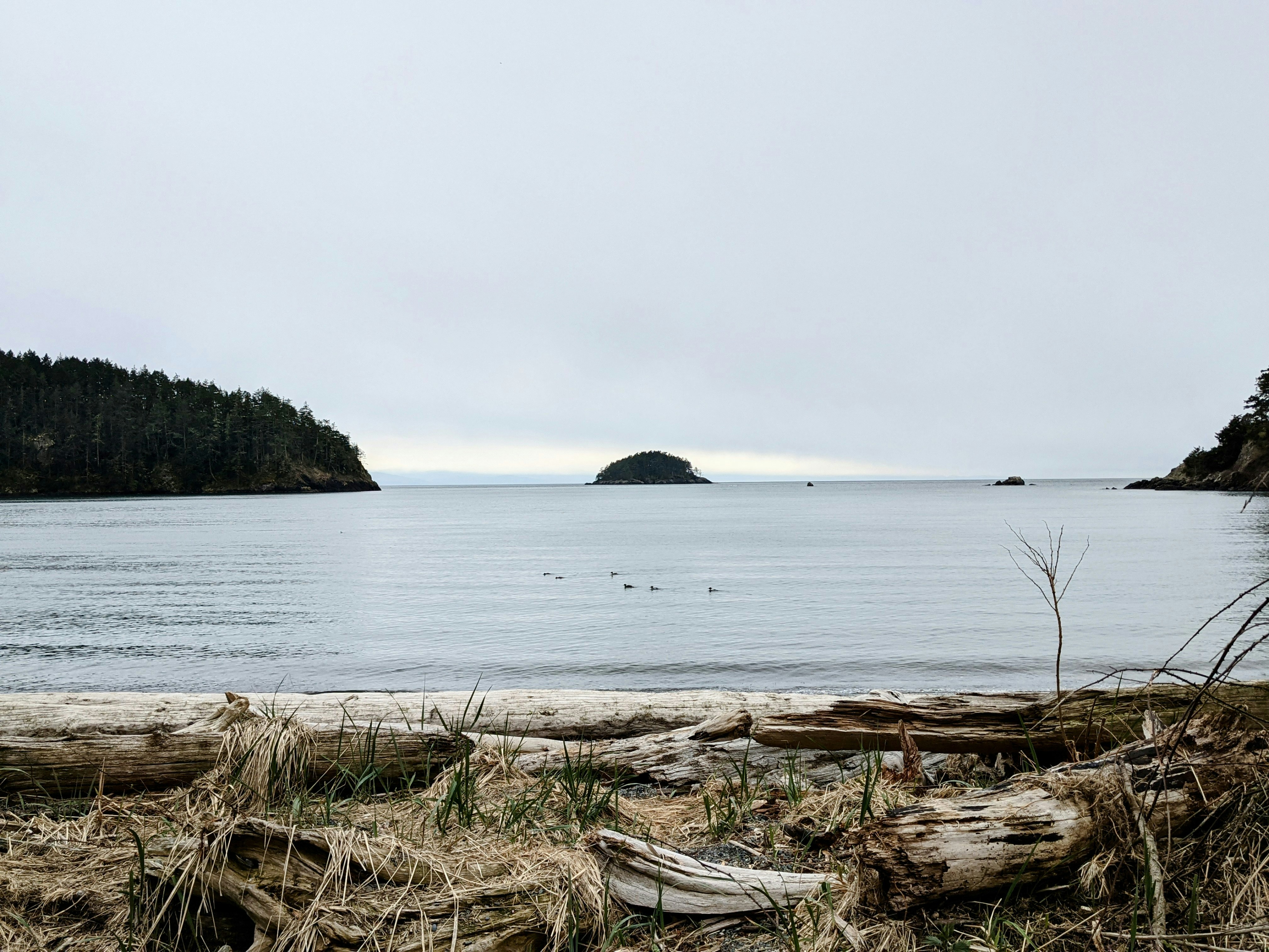 Photo by aishamahmood