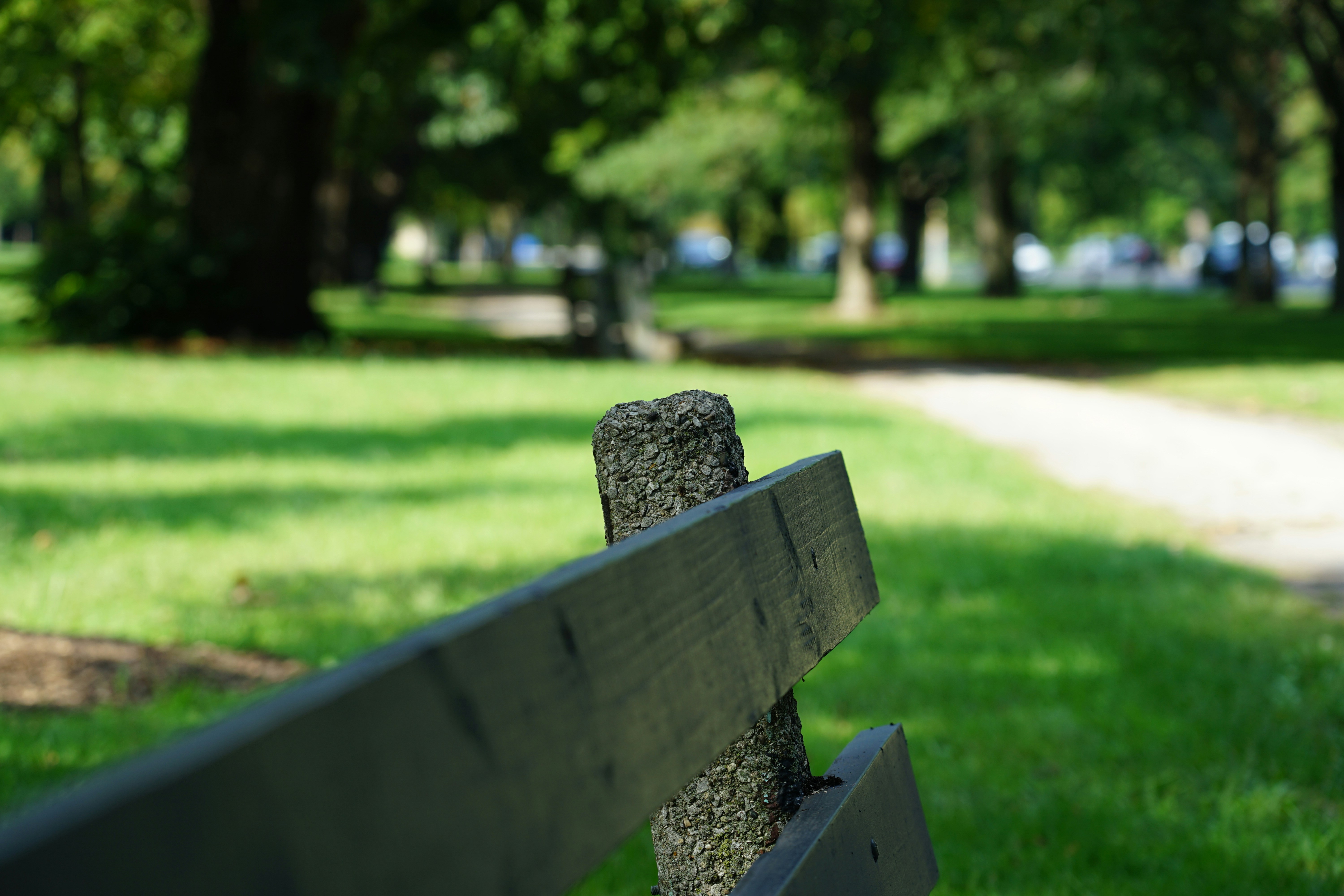 Photo by langinteger