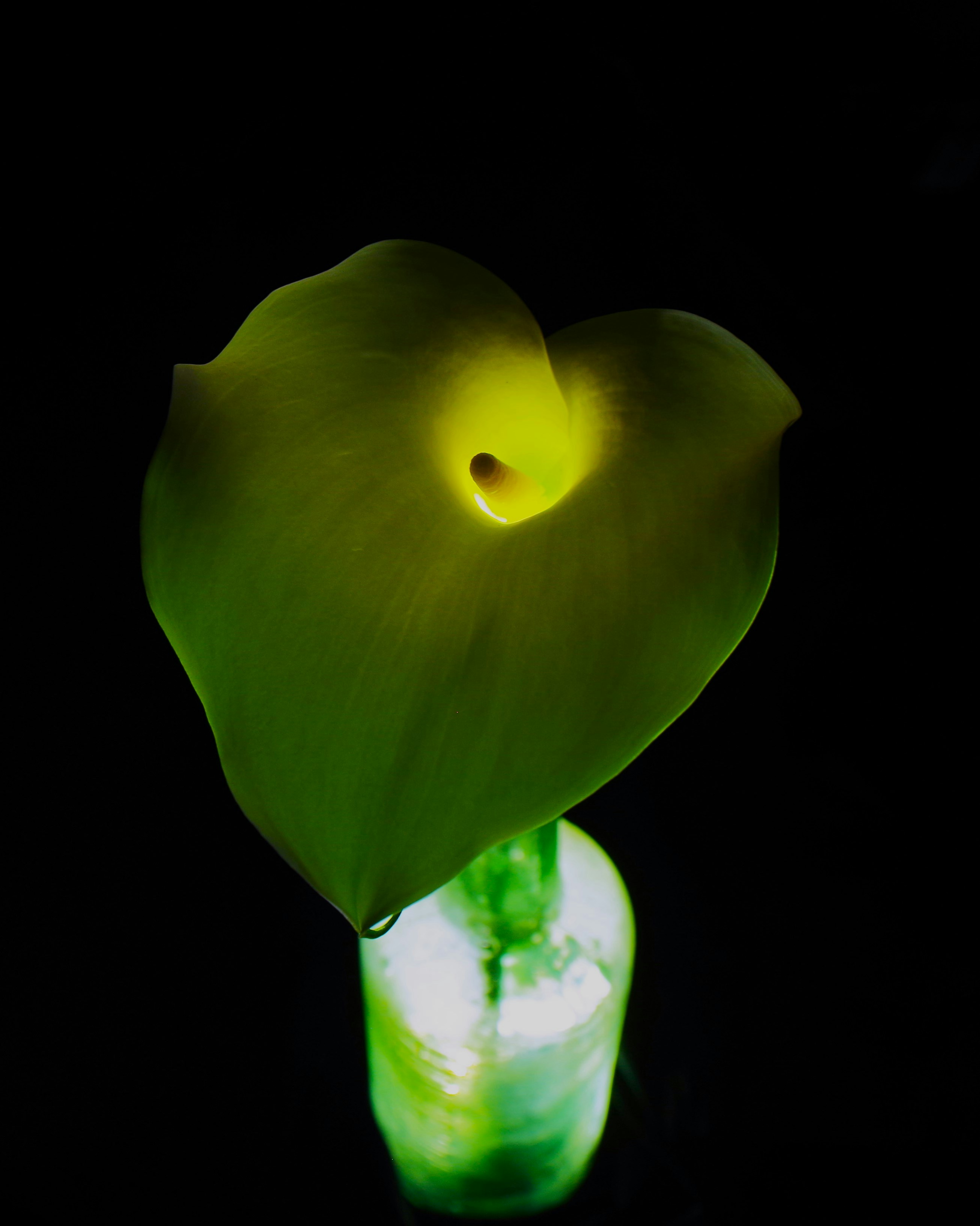 Photo by photoken123