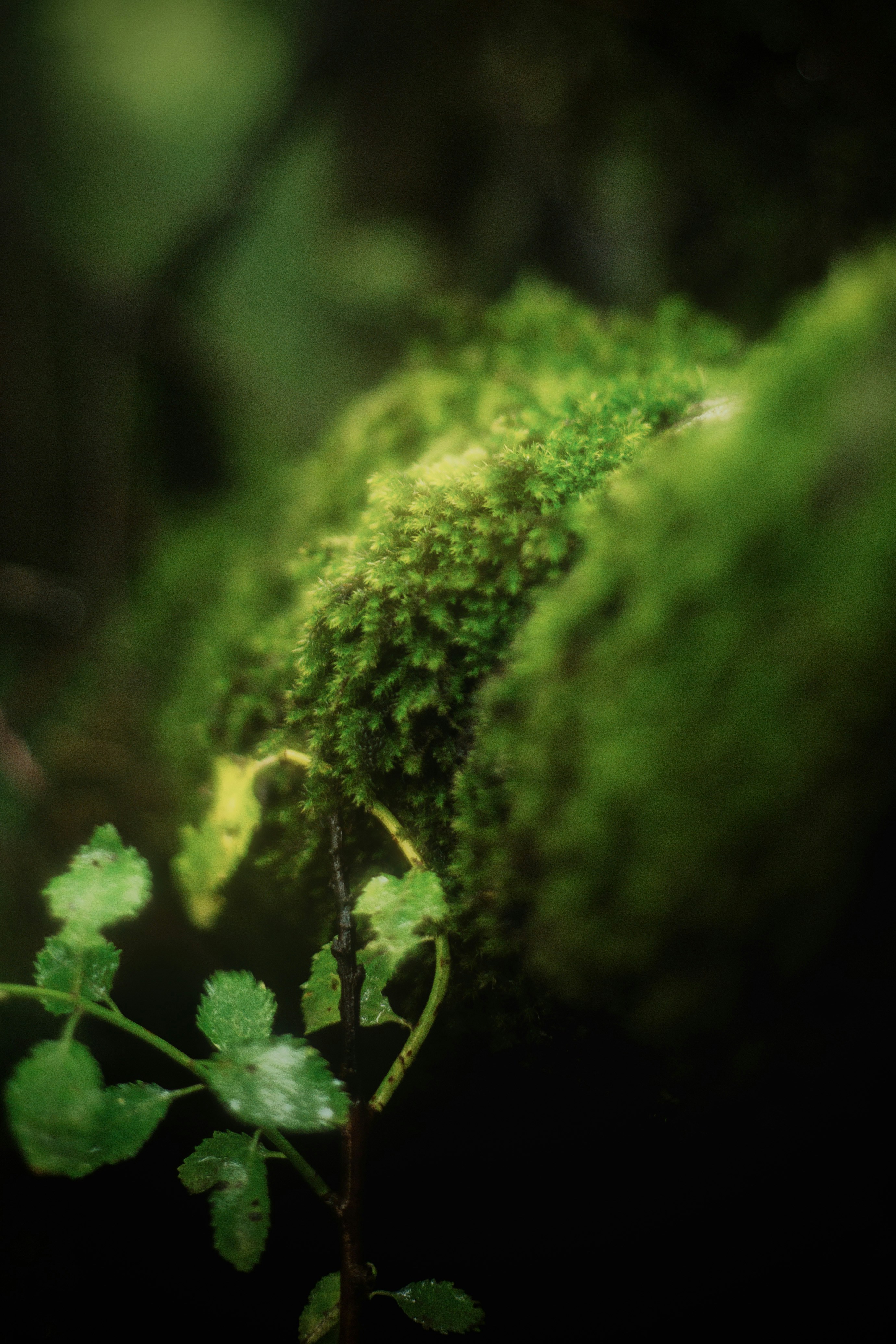 Photo by mrcharkhgard