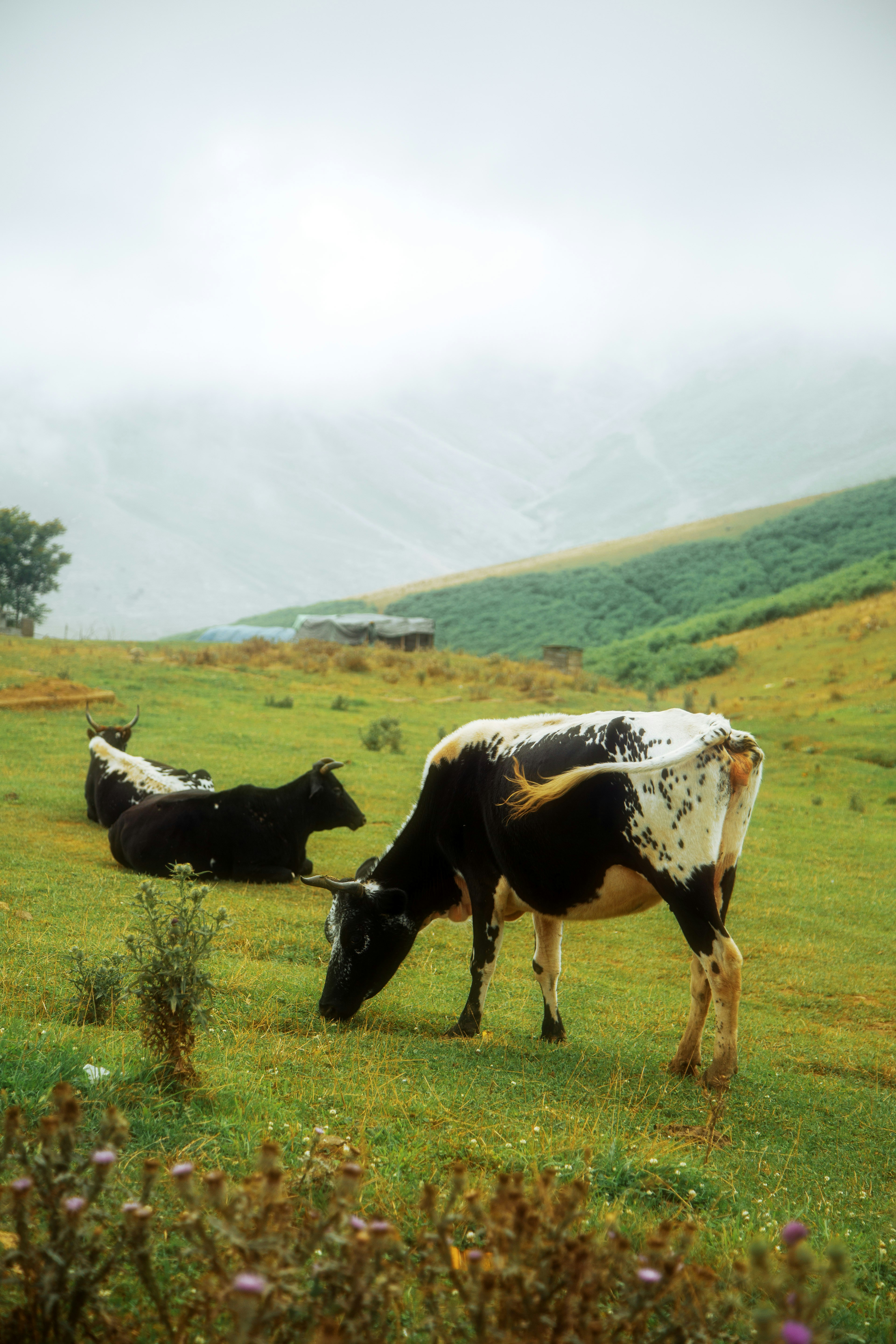 Photo by mrcharkhgard