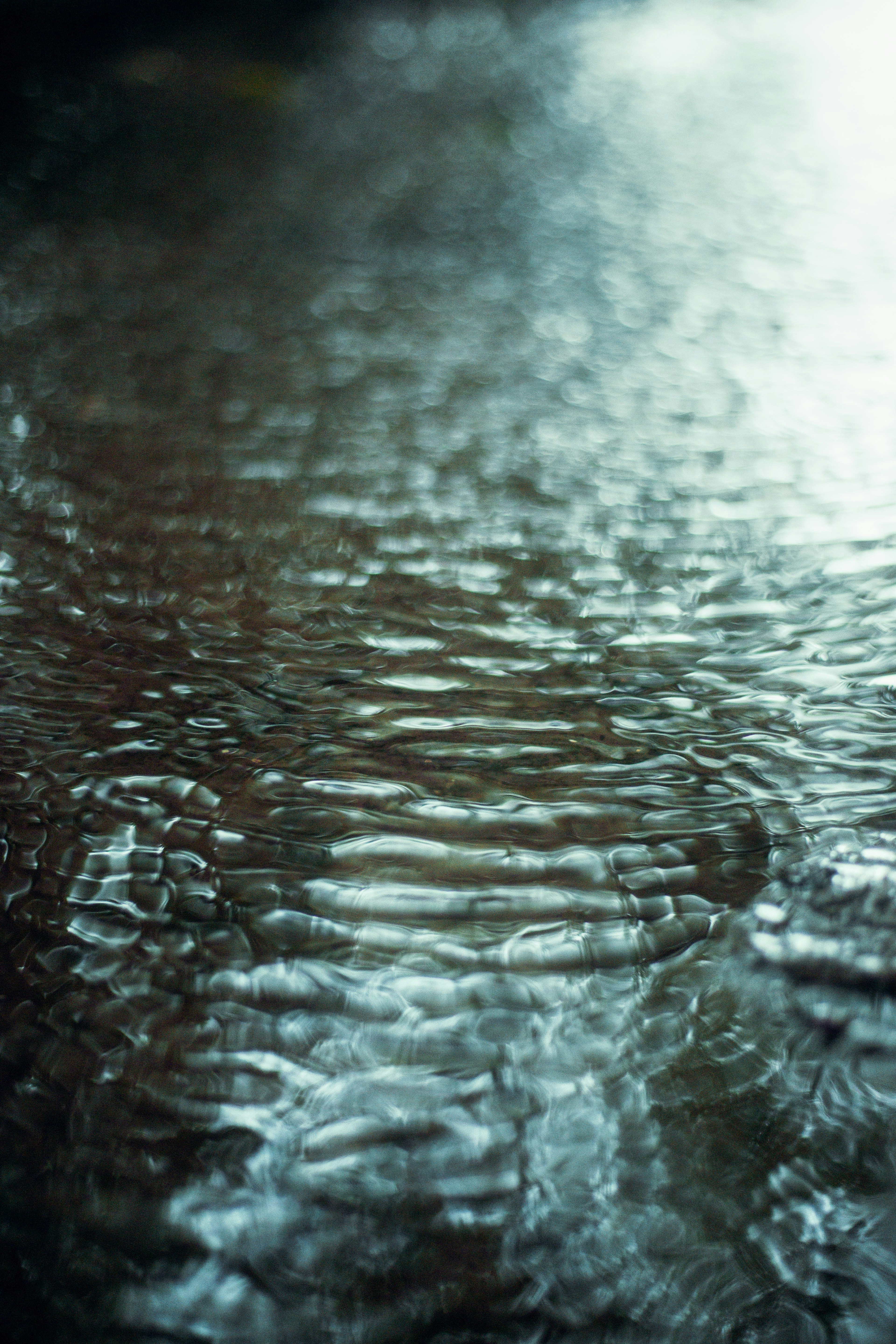 Photo by mrcharkhgard