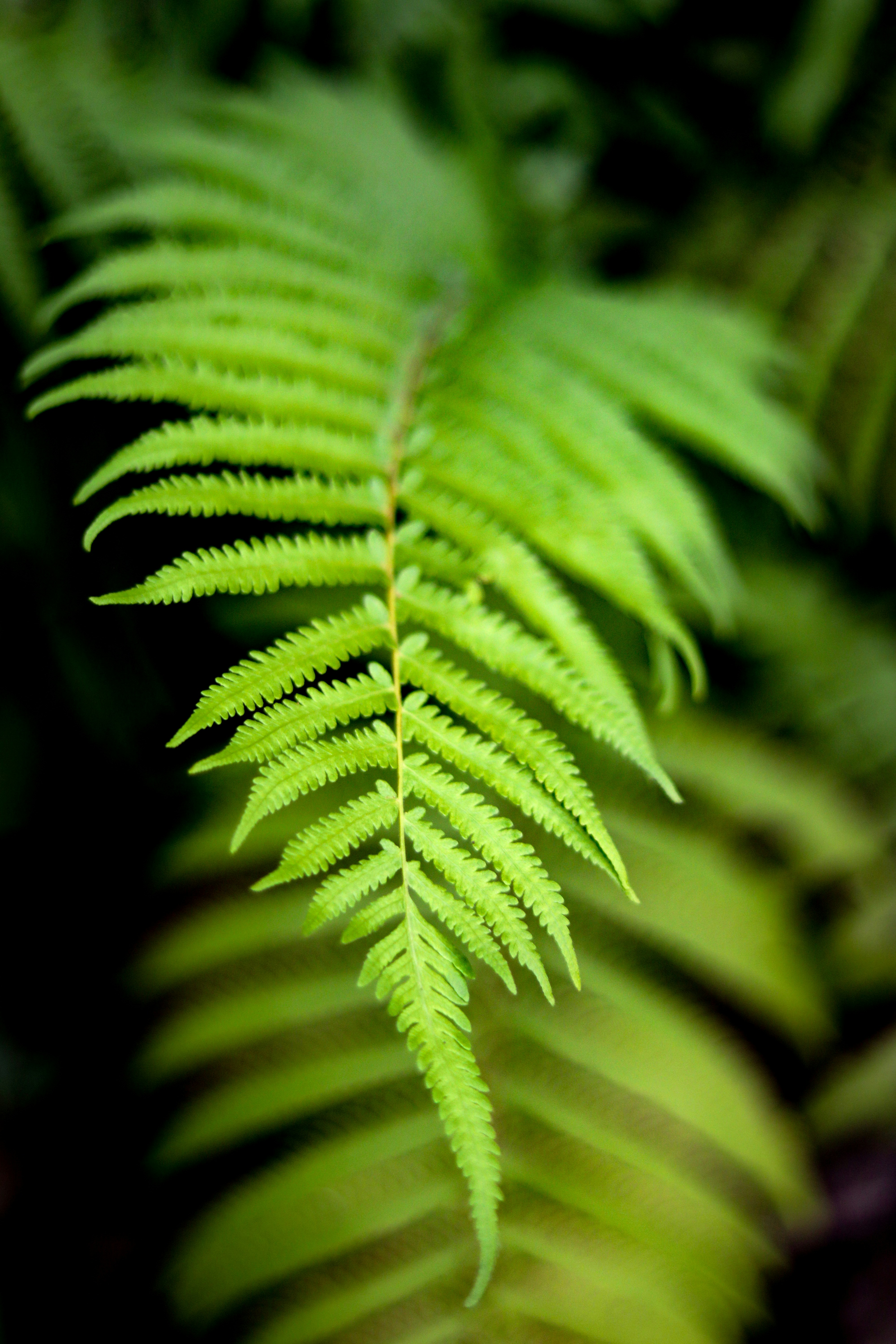 Photo by tonyzebastian