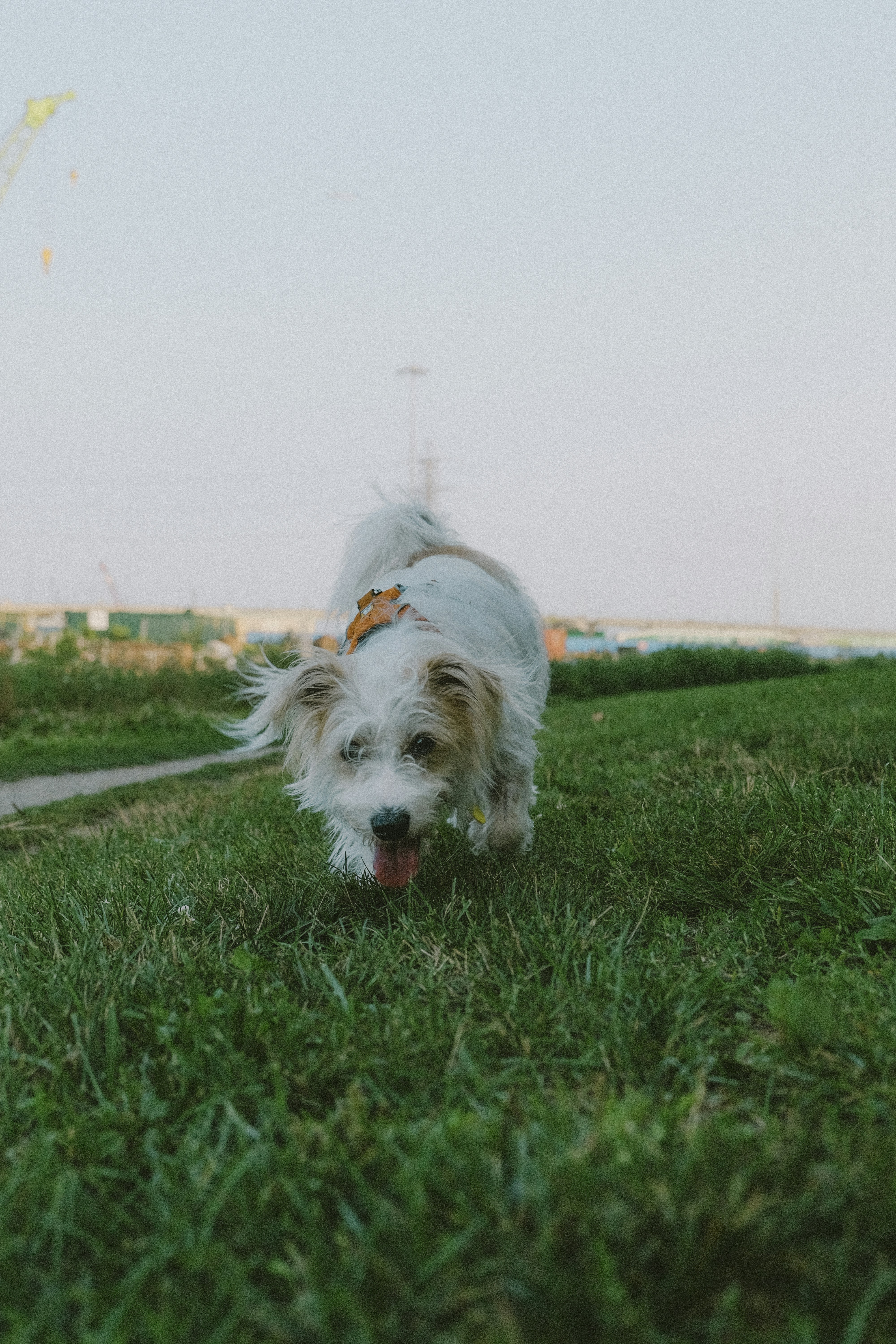 Photo by leitothemax