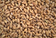 Get Connected with AgriFoodTech Norway