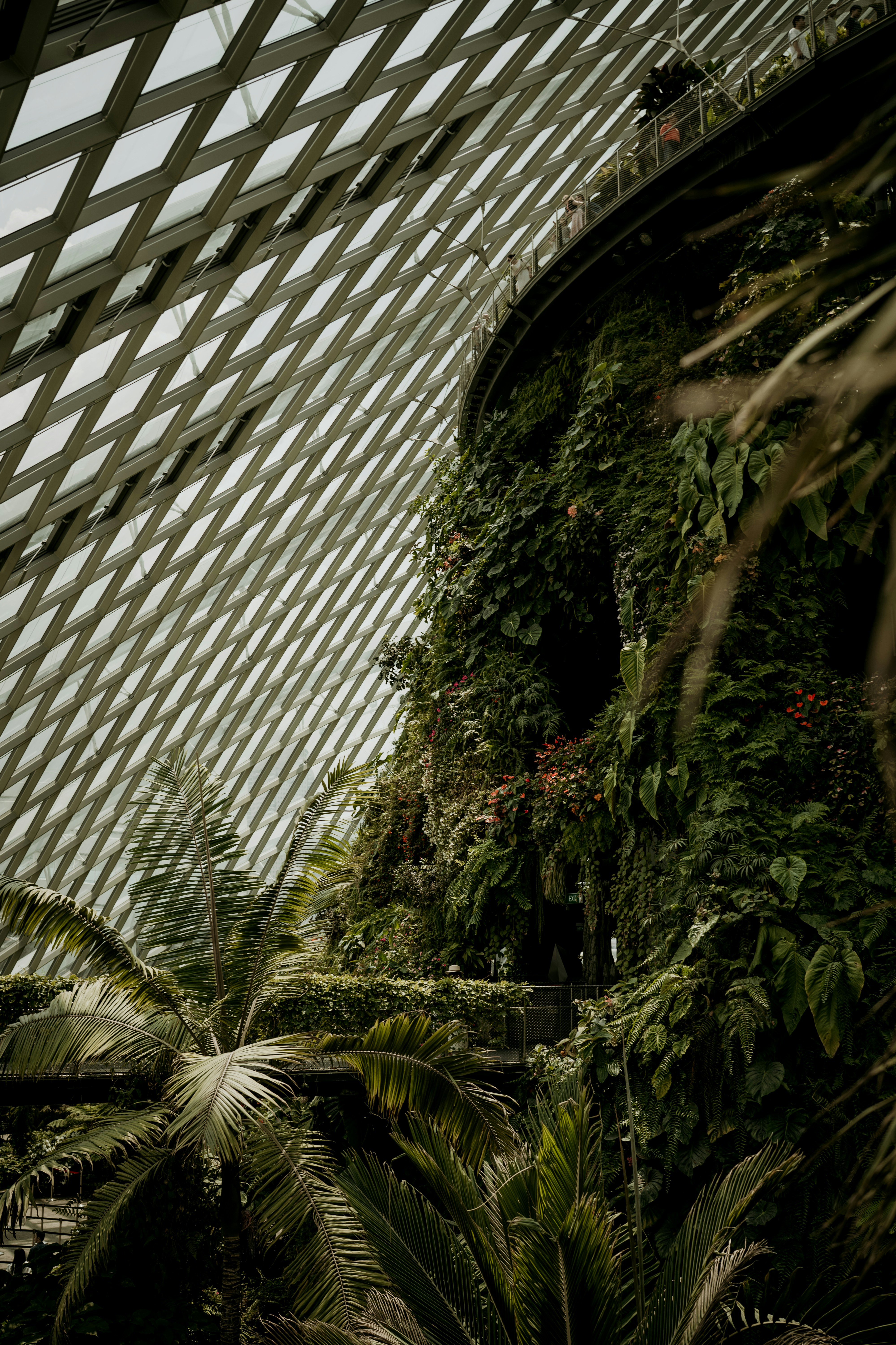 The Houston Museum of Natural Science photo 3