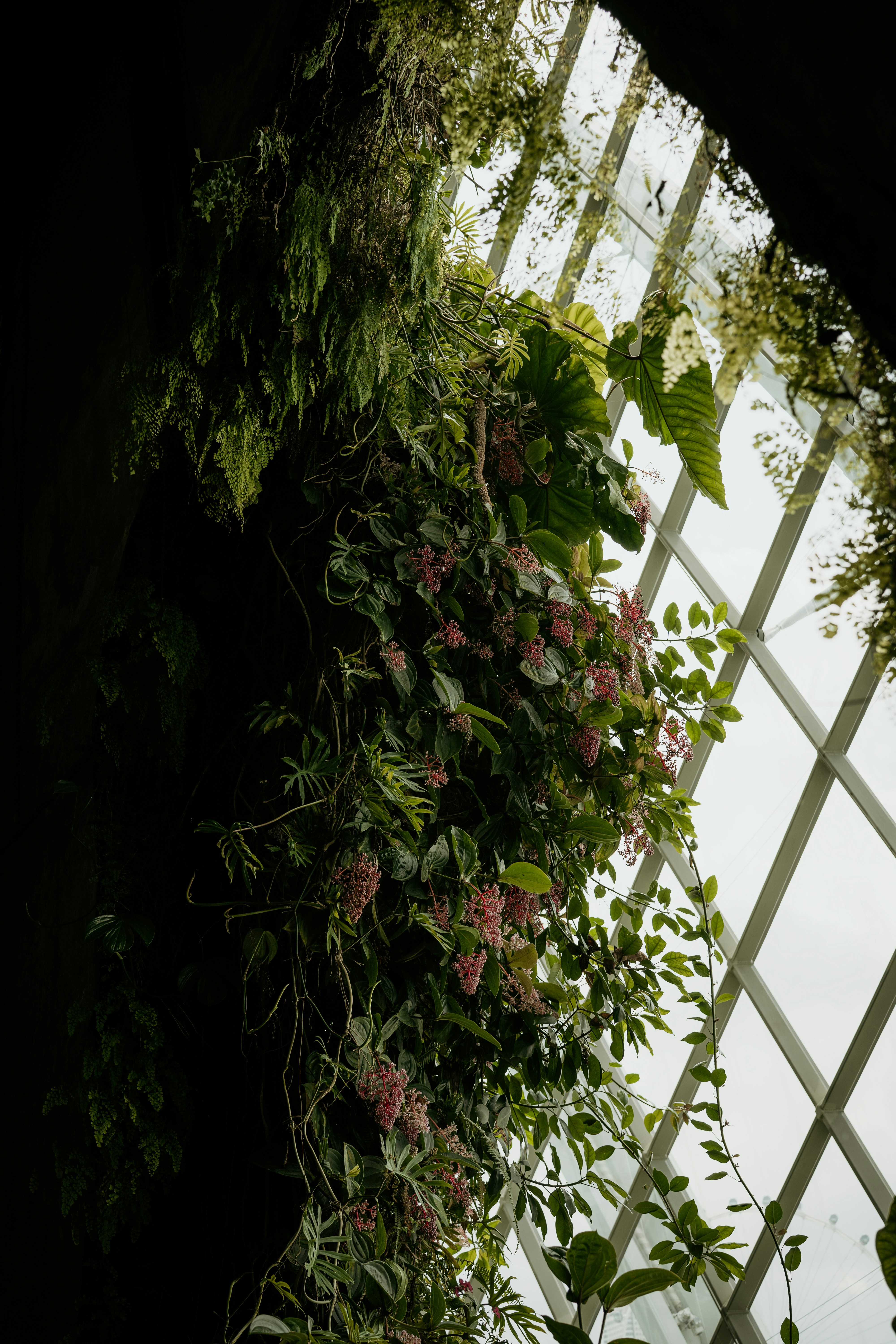 Photo by dubai_love_story