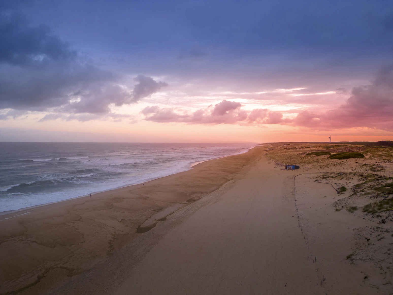Plage des Landes avec un chien