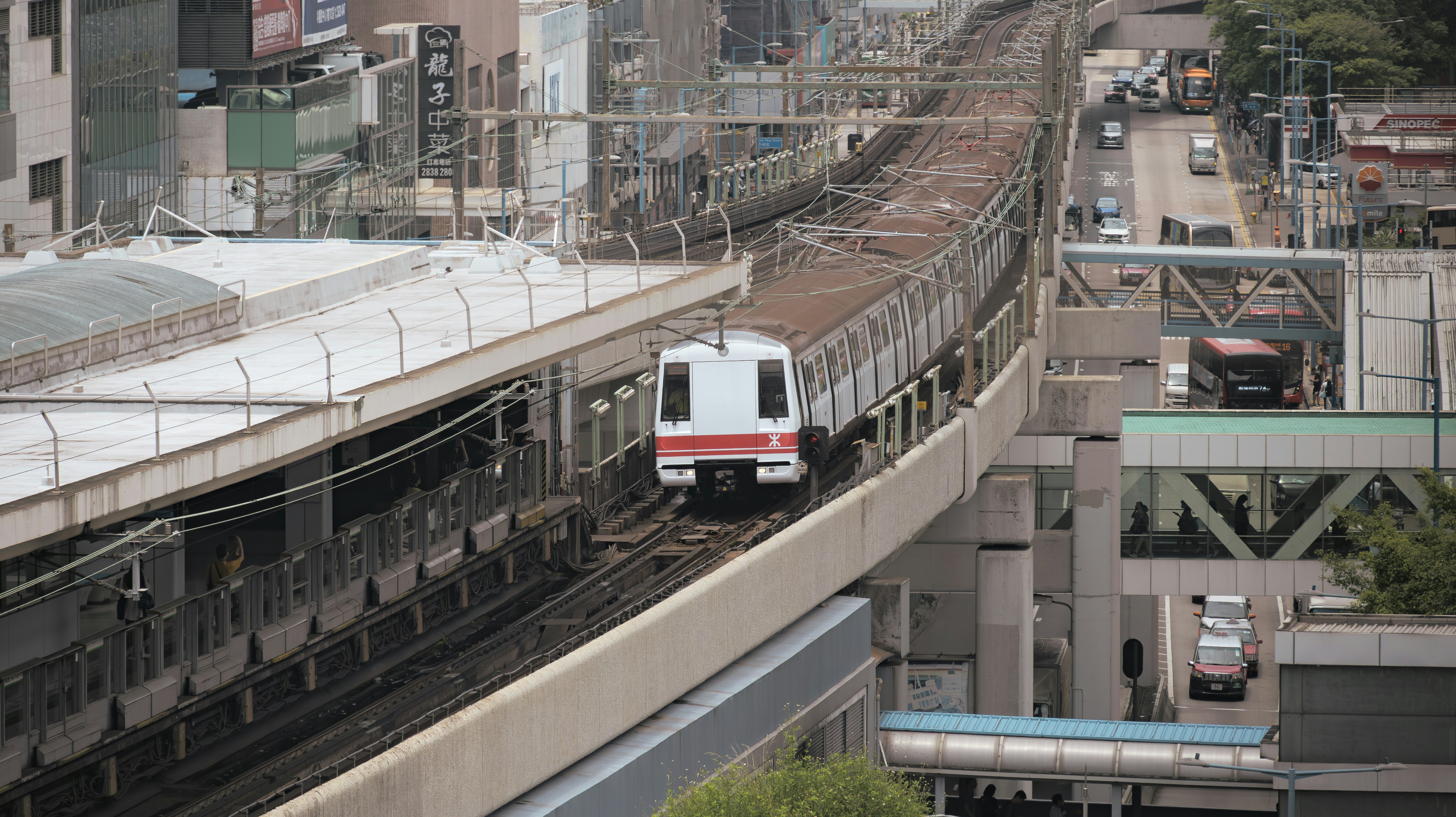 New Hope for MS: A Pill to Calm Inflammation