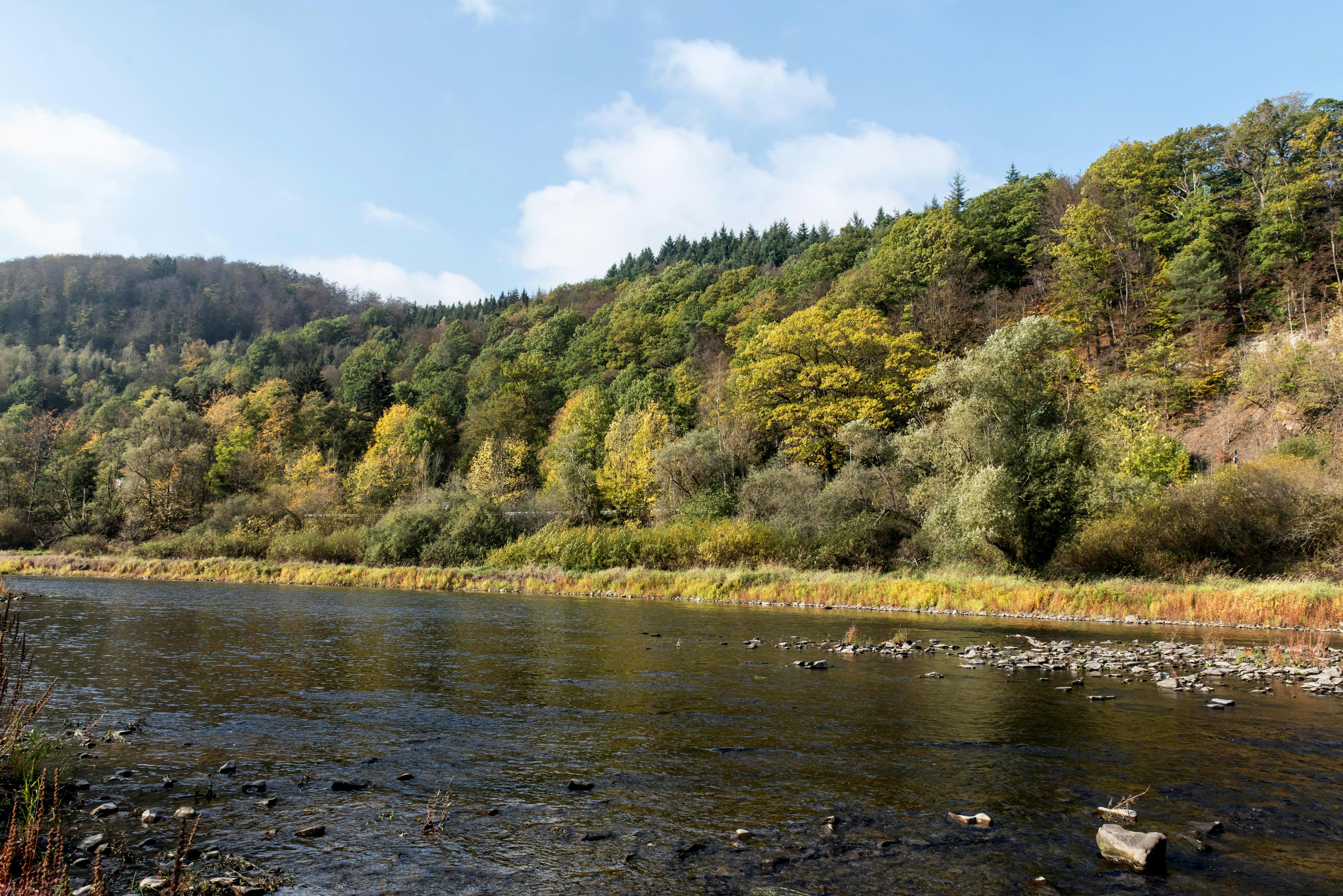 Photo by hamburgmeinefreundin