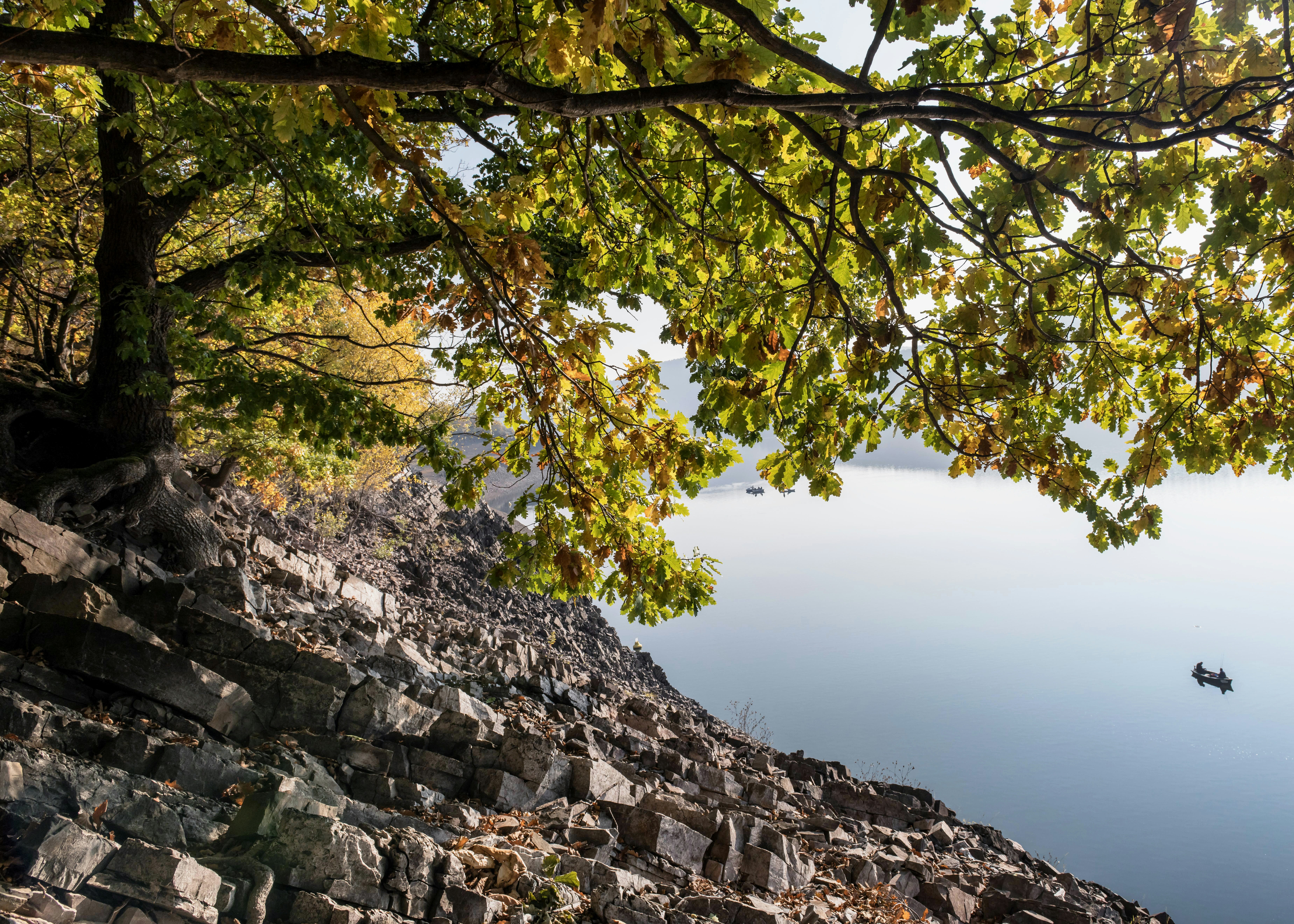 Photo by hamburgmeinefreundin