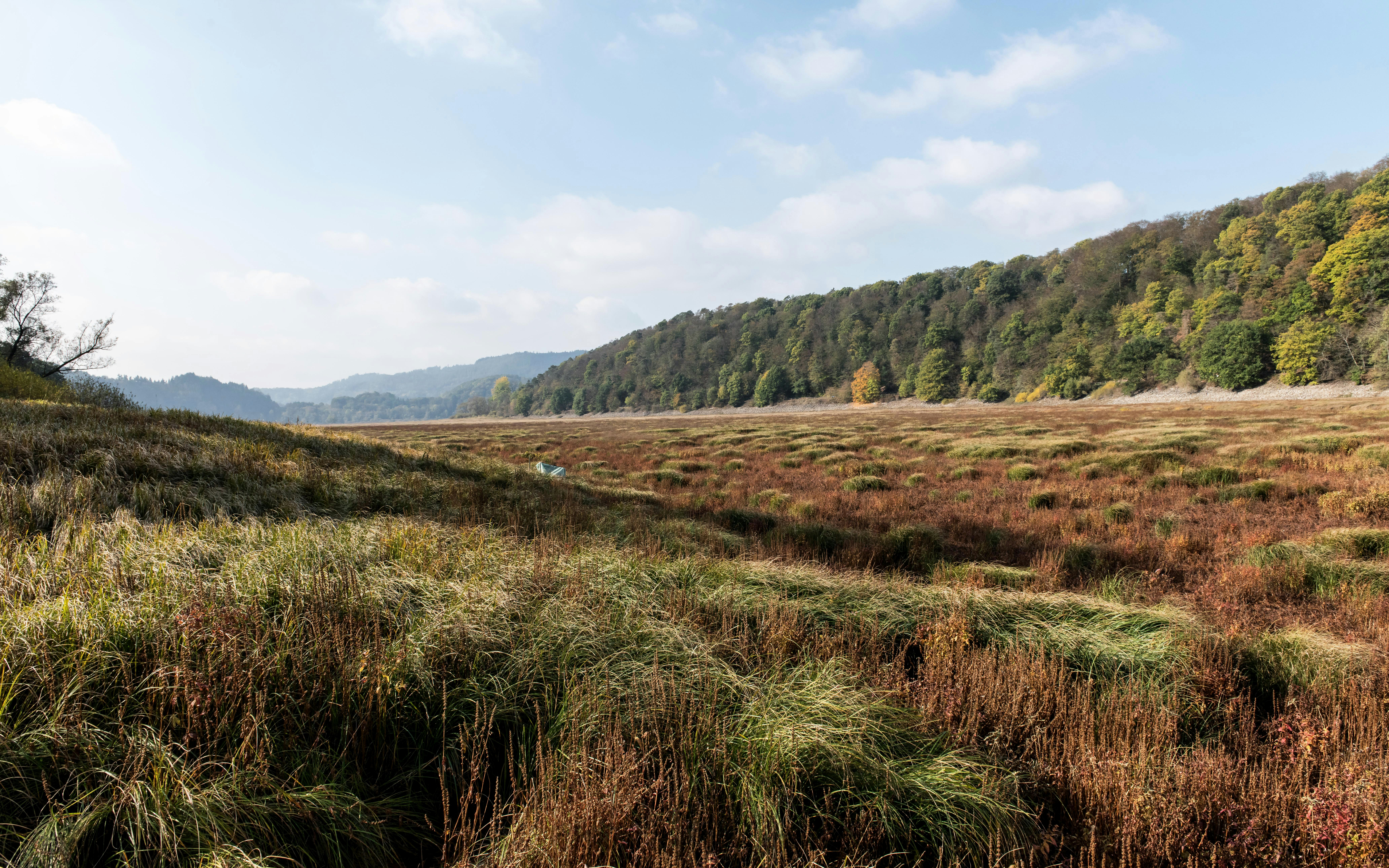 Photo by hamburgmeinefreundin