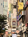 압구정 현대·대치 은마·잠실 주공…속도 내는 강남 재건축