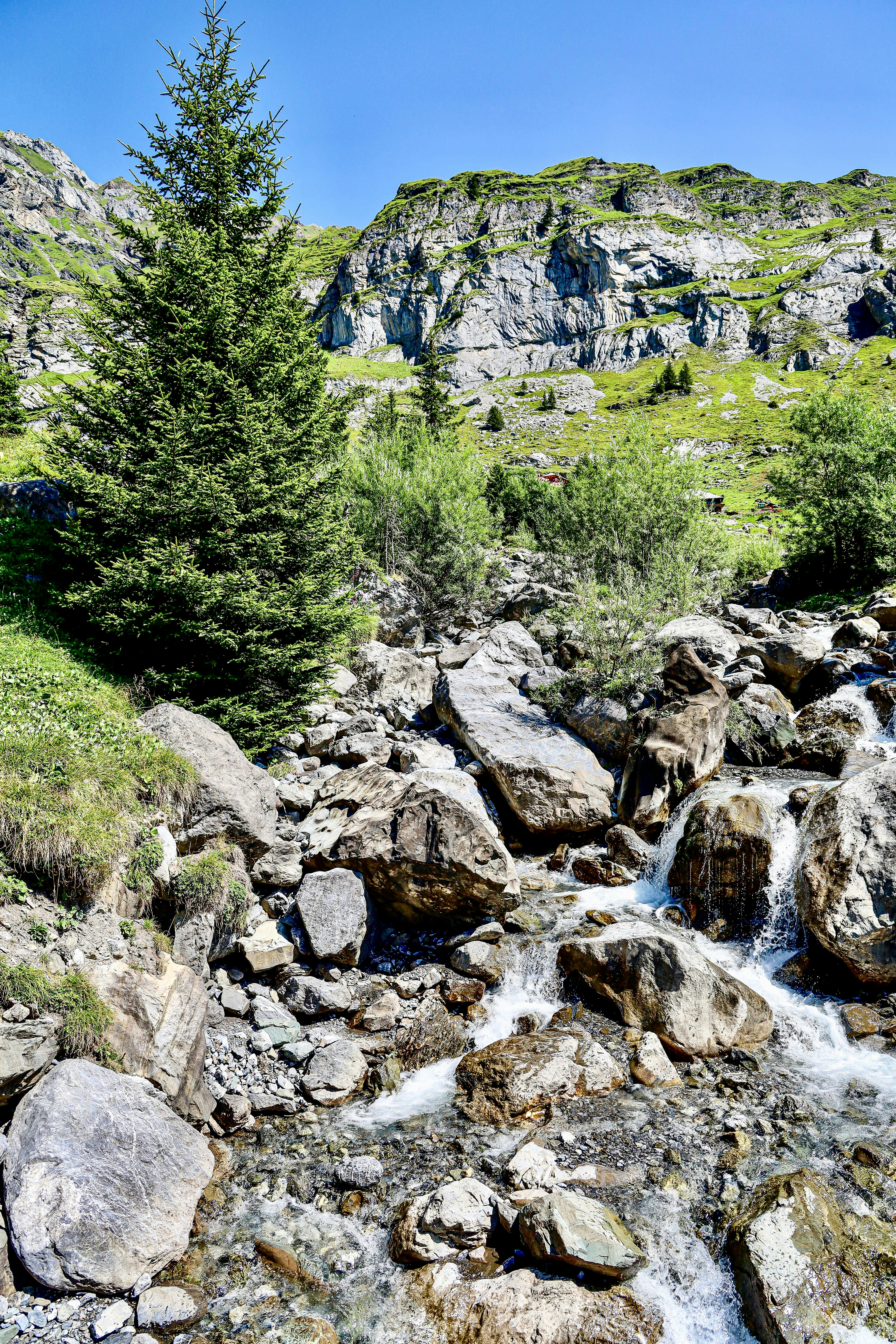 Photo by maximilian_brand