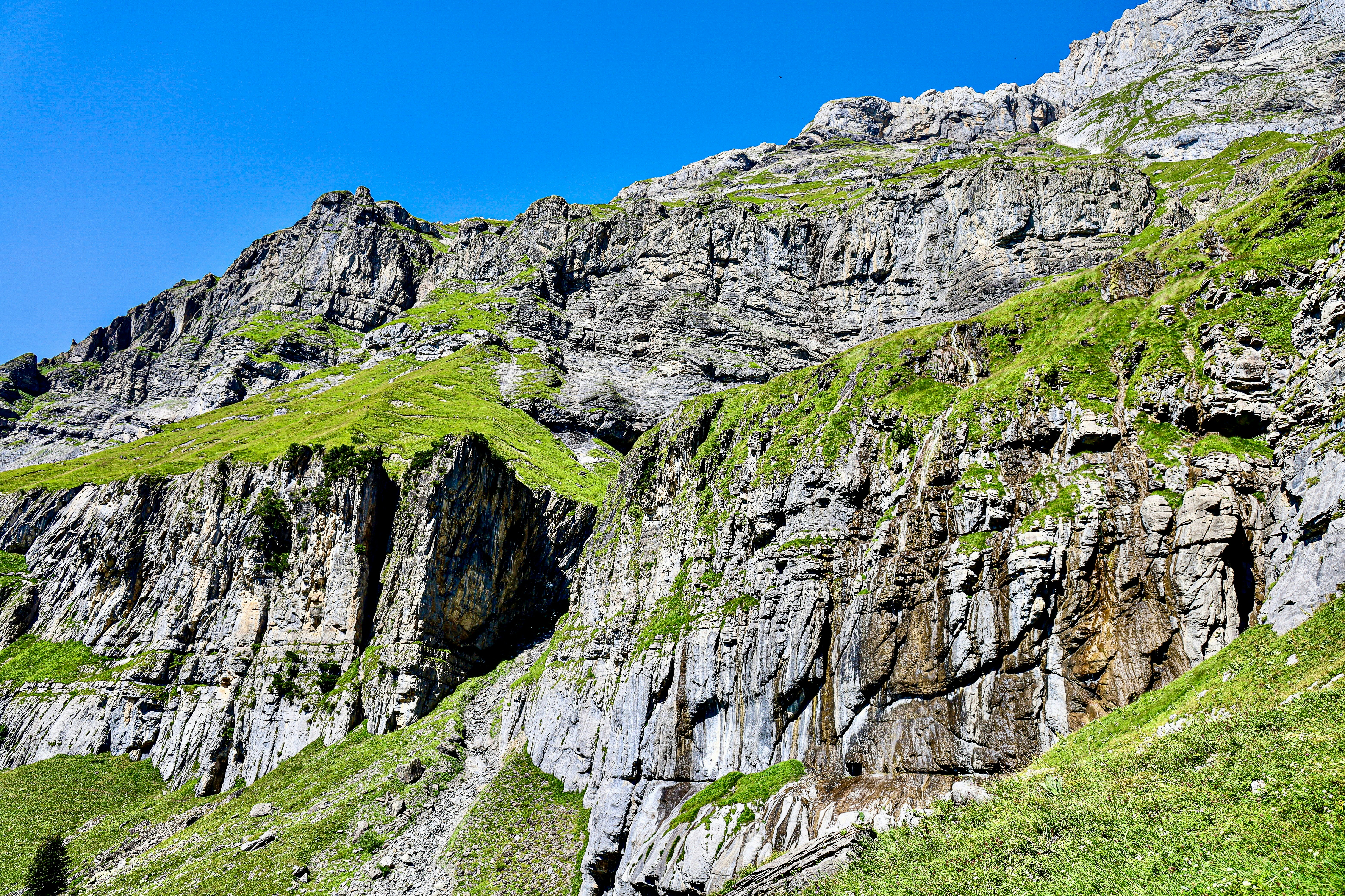 Photo by maximilian_brand