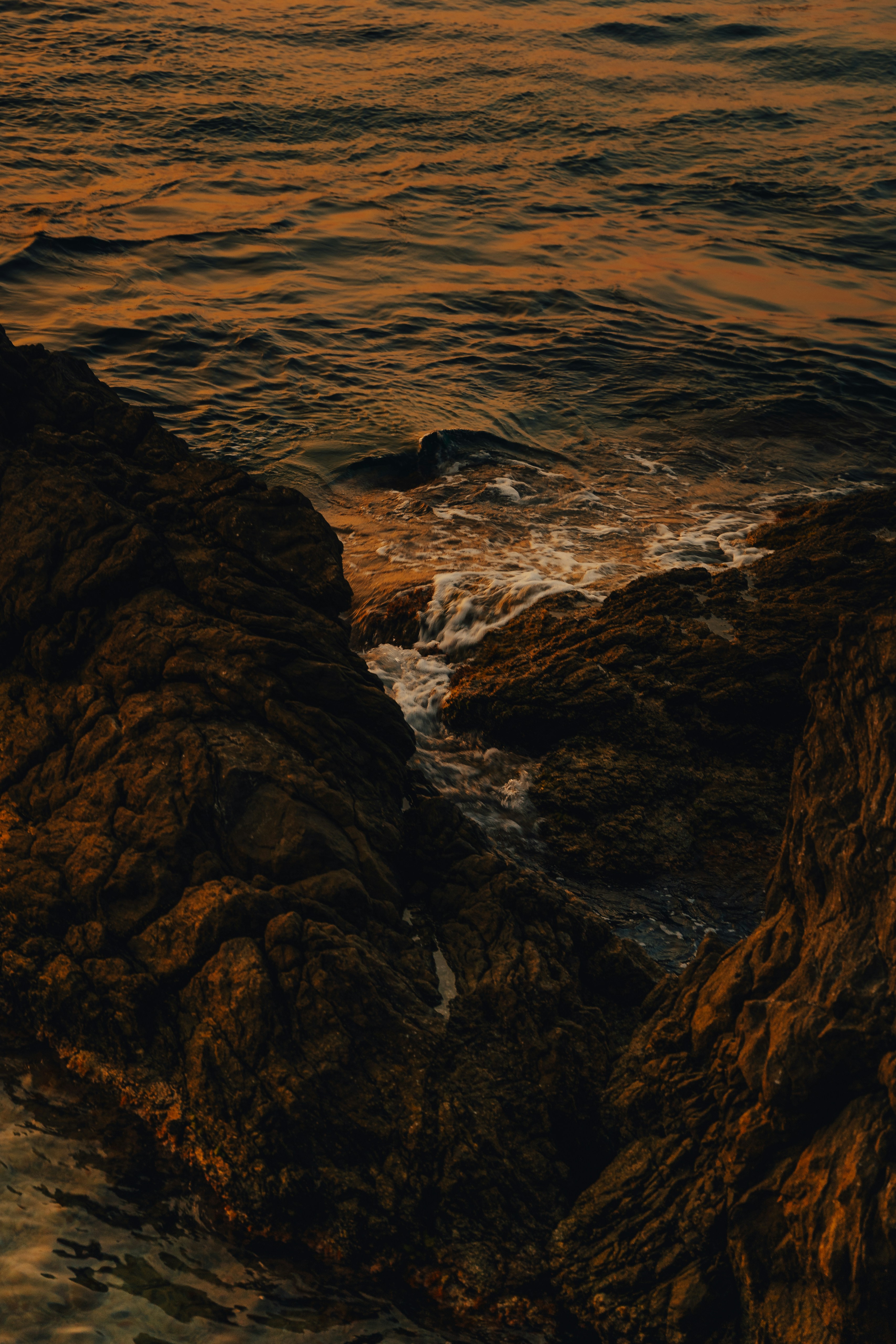 Photo by francesco_liotti