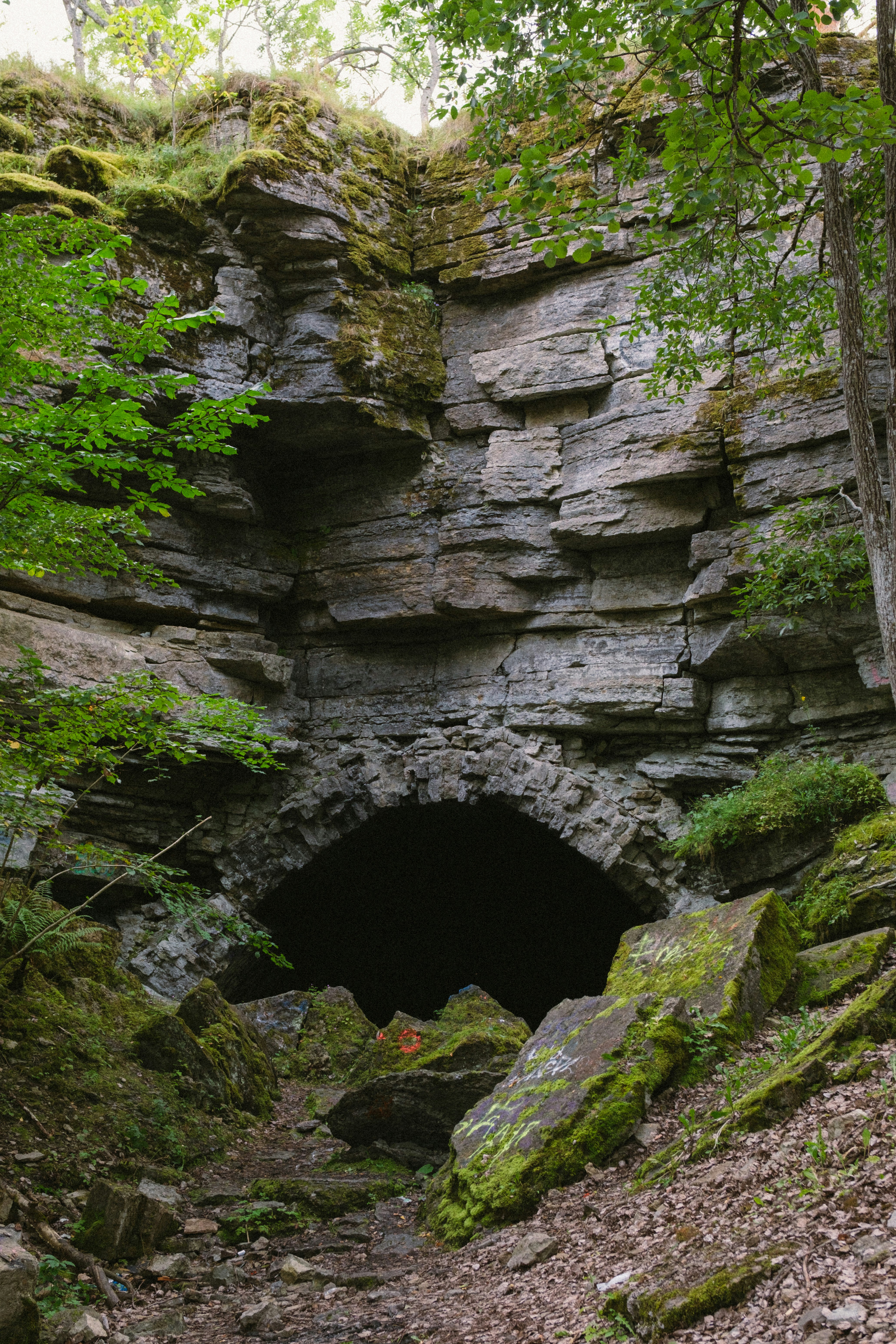 A small cave in the middle of a forest