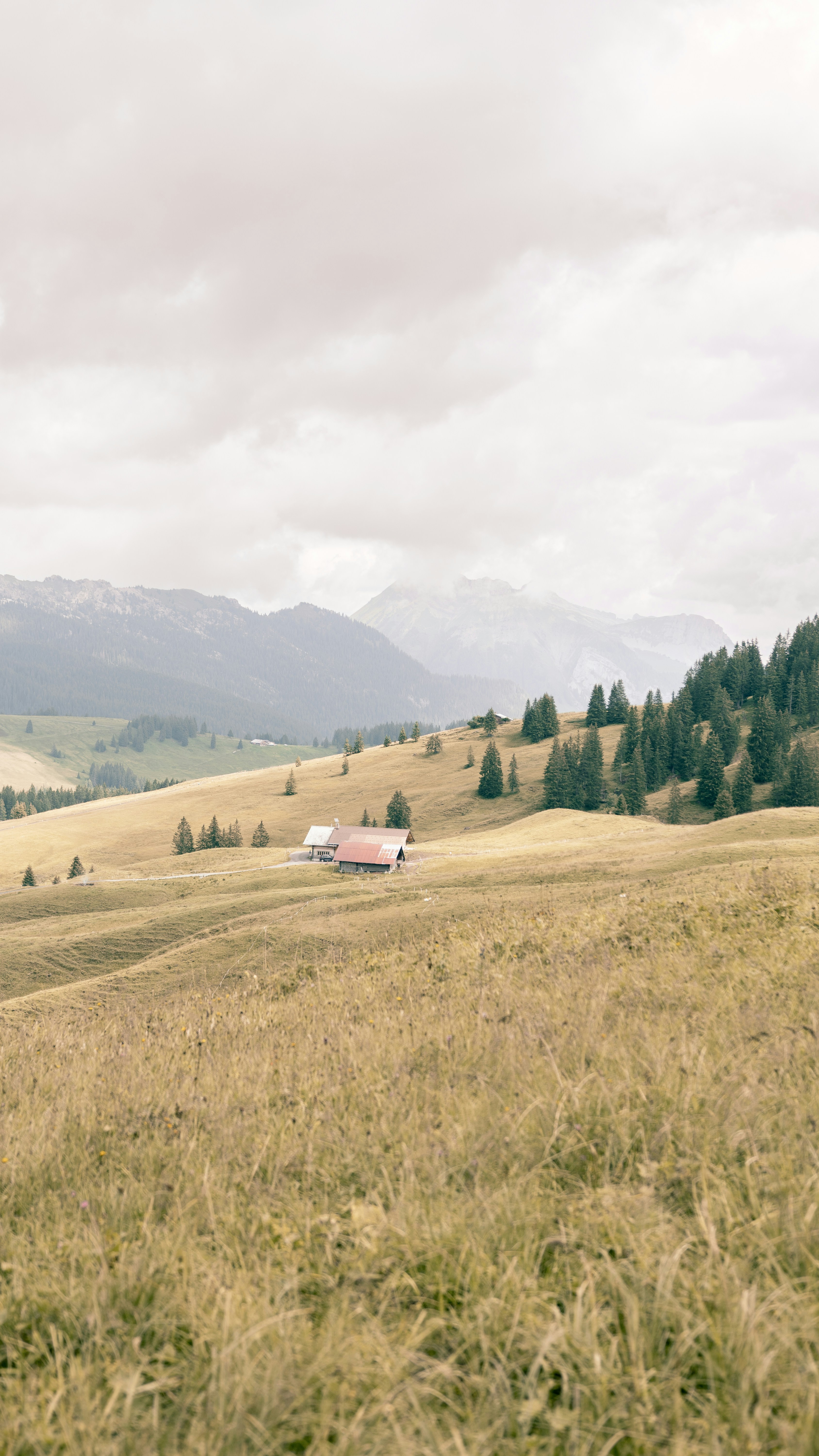 Photo by jkphotos_jpg