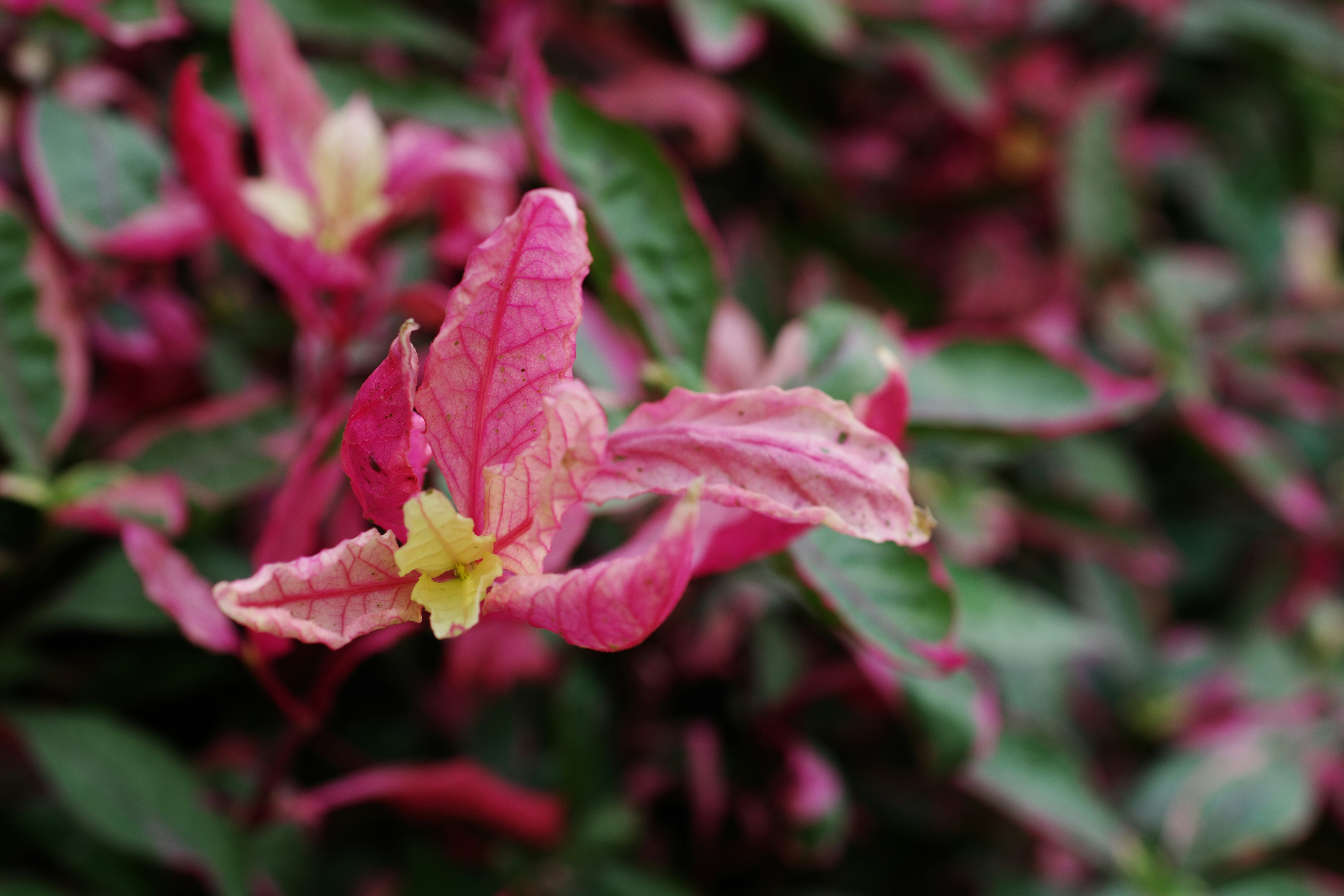 媽呀！這5招收納術，我家竟然變豪宅了！#空間魔法