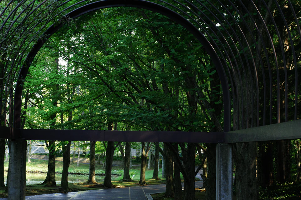 The image depicts a serene scene set within an arched structure, likely a bridge or tunnel, surrounded by lush green trees and grass. The archway is constructed from metal beams that curve gracefully over the frame, creating a sense of depth and perspective. A path winds through the verdant landscape on one side of the archway, inviting exploration into the heart of nature.

The scene is bathed in soft light filtering through the trees, casting dappled shadows across the ground below. The image conveys a tranquil atmosphere, with the natural elements harmoniously blending together to create an idyllic setting for contemplation and relaxation.