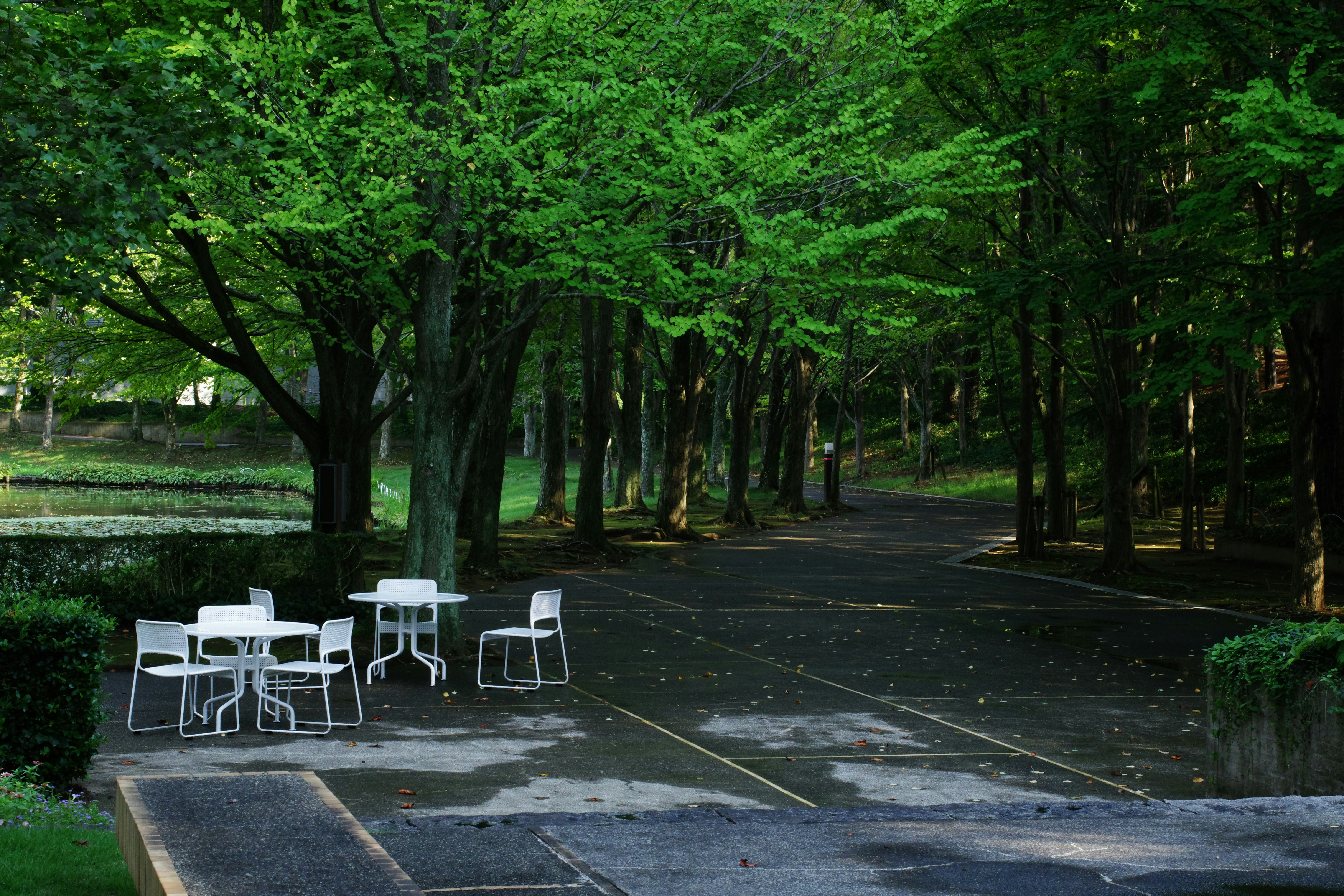 White tables and chairs in a leafy park