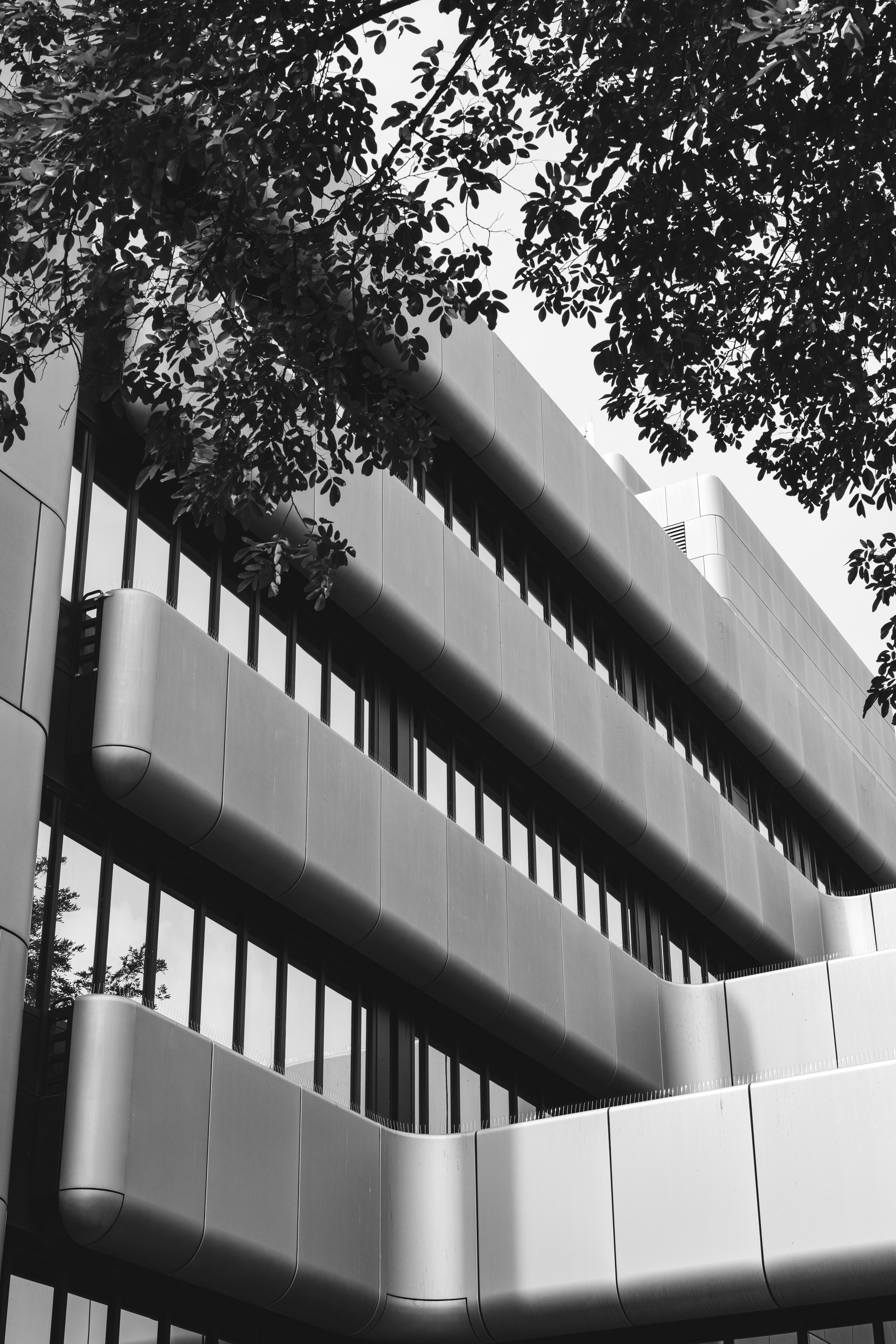 Photo by robertschwarz