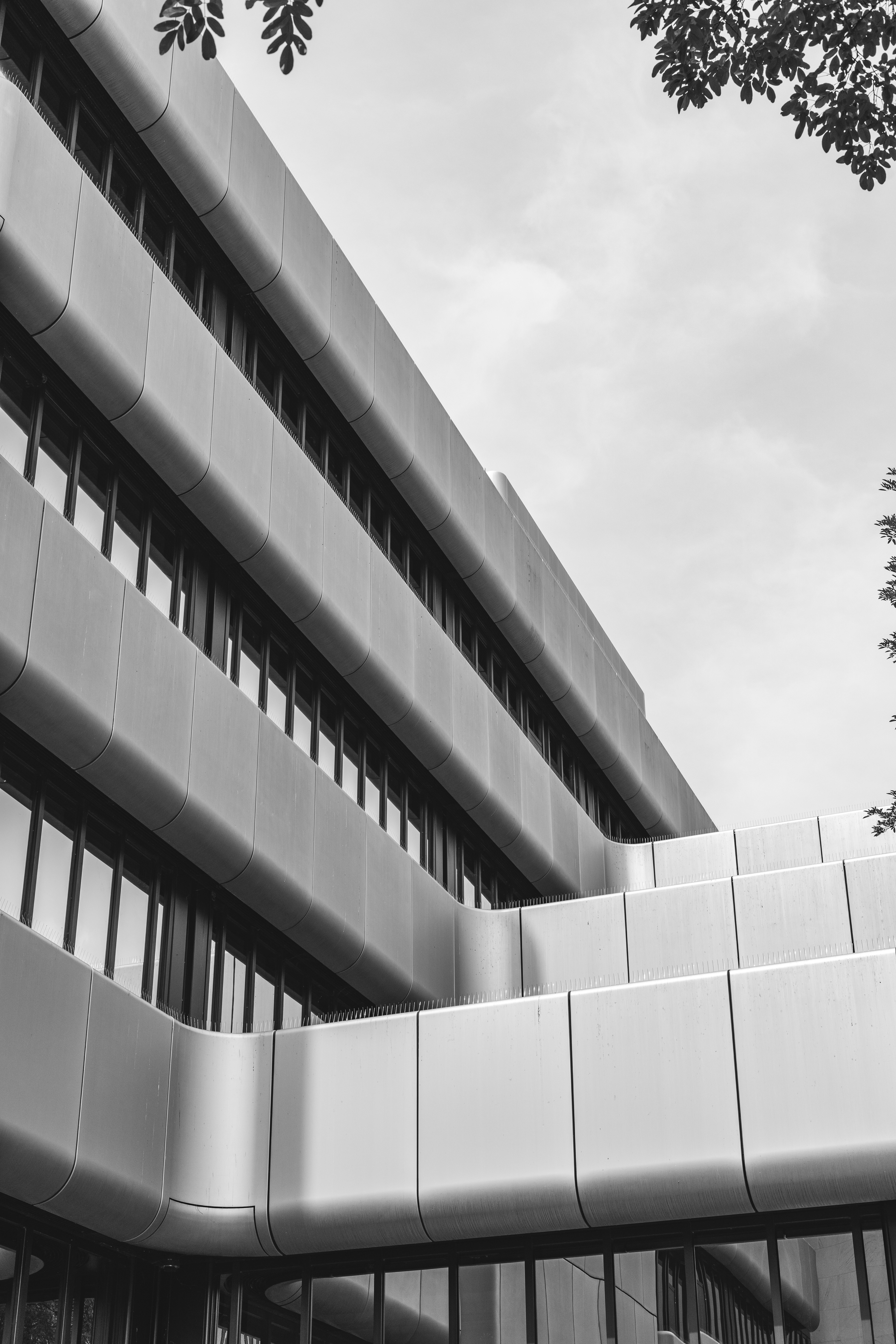 Photo by robertschwarz