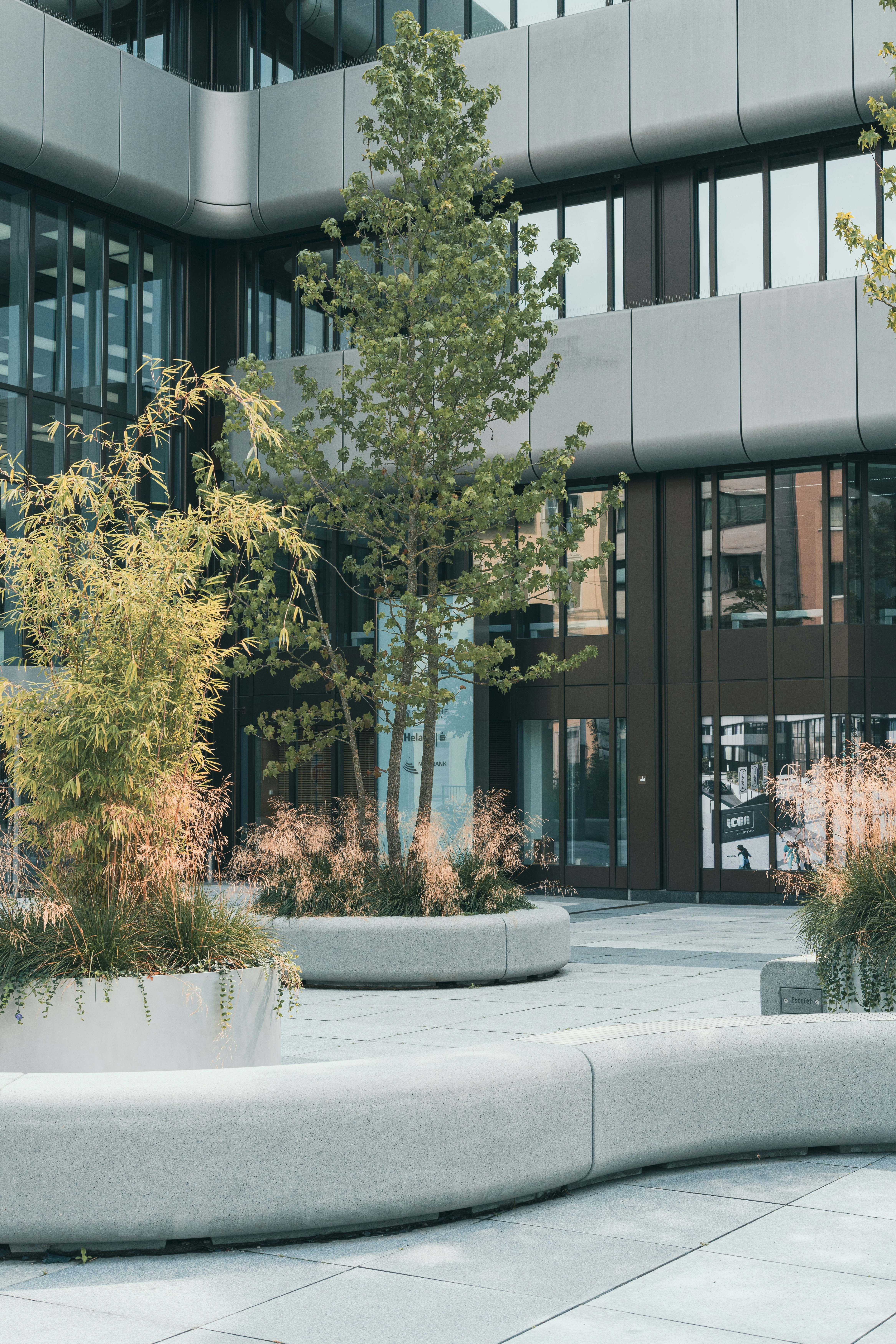 Photo by robertschwarz