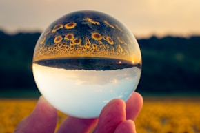 A person holding a glass ball in their hand