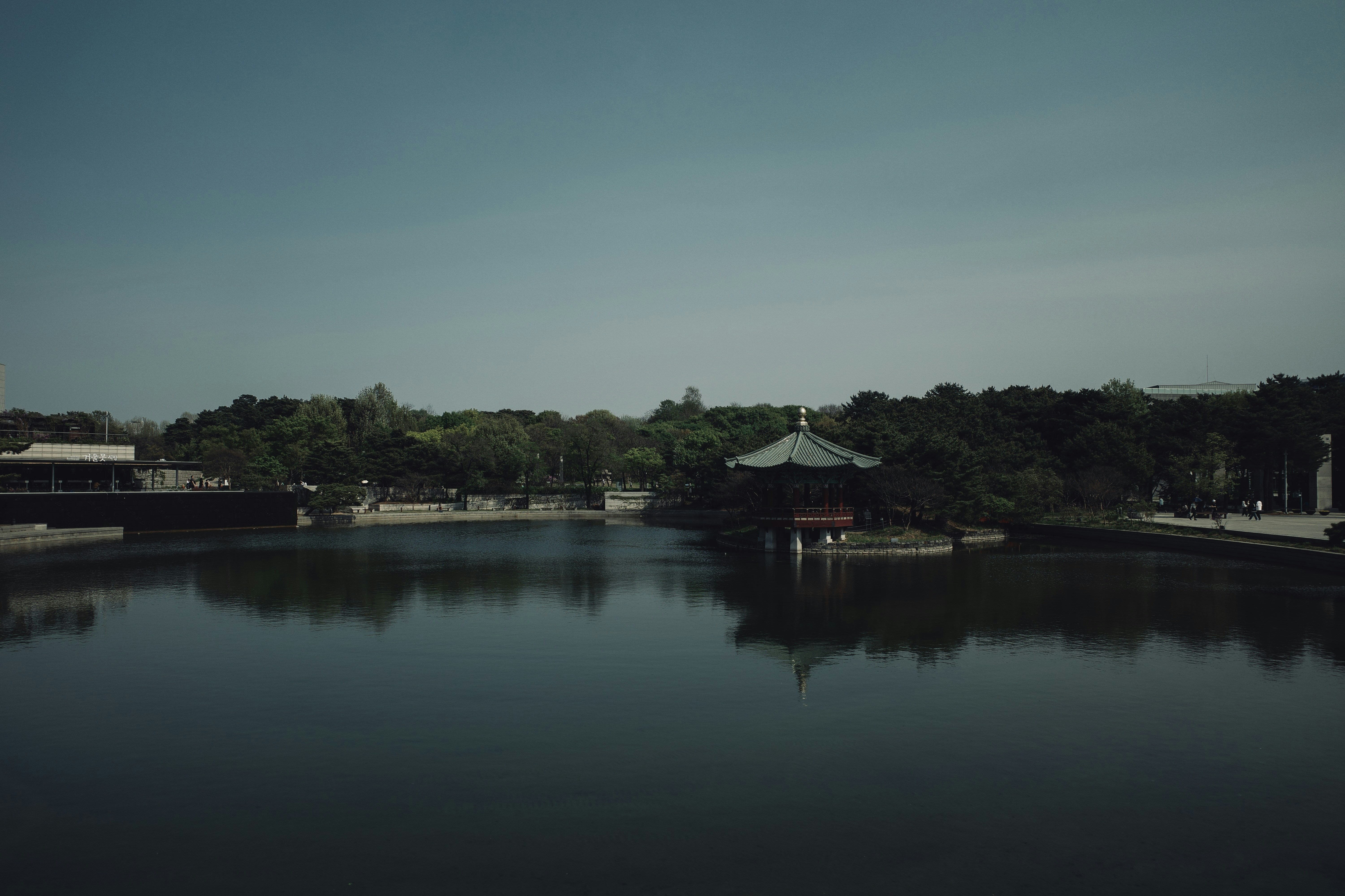 A large body of water surrounded by trees
