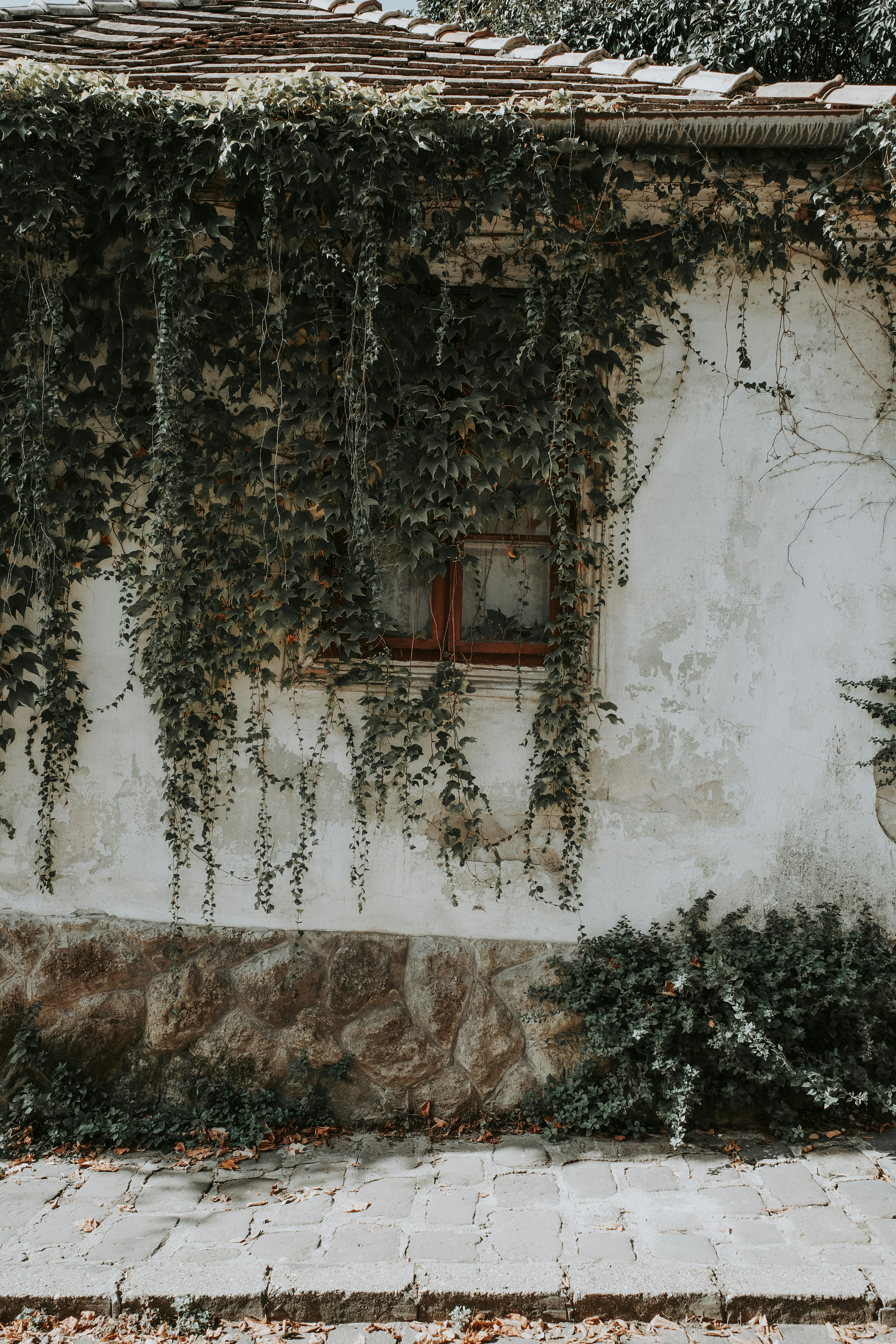 Szentendre – Budgeting & Cost Expectations