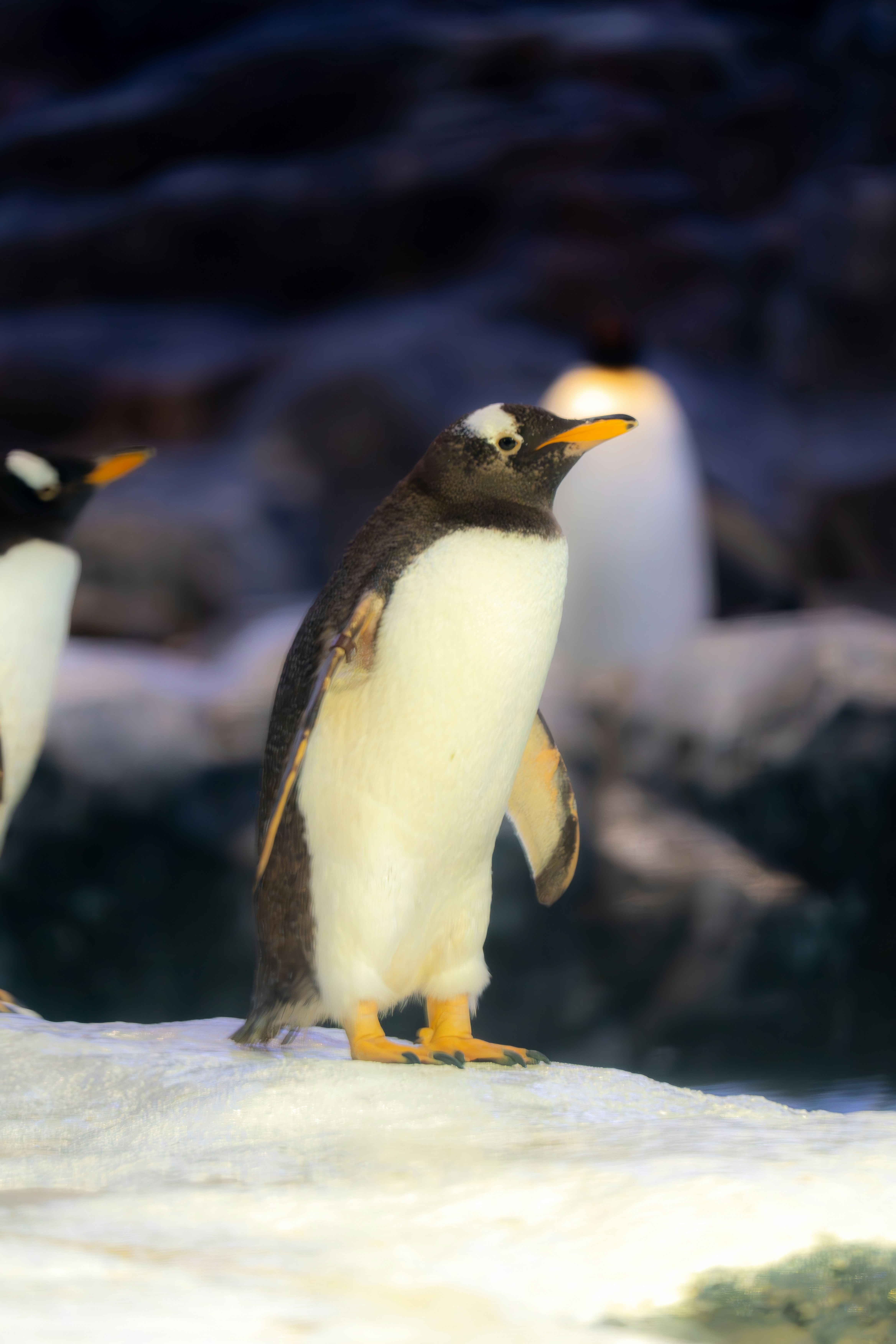 Photo by beingabstrac