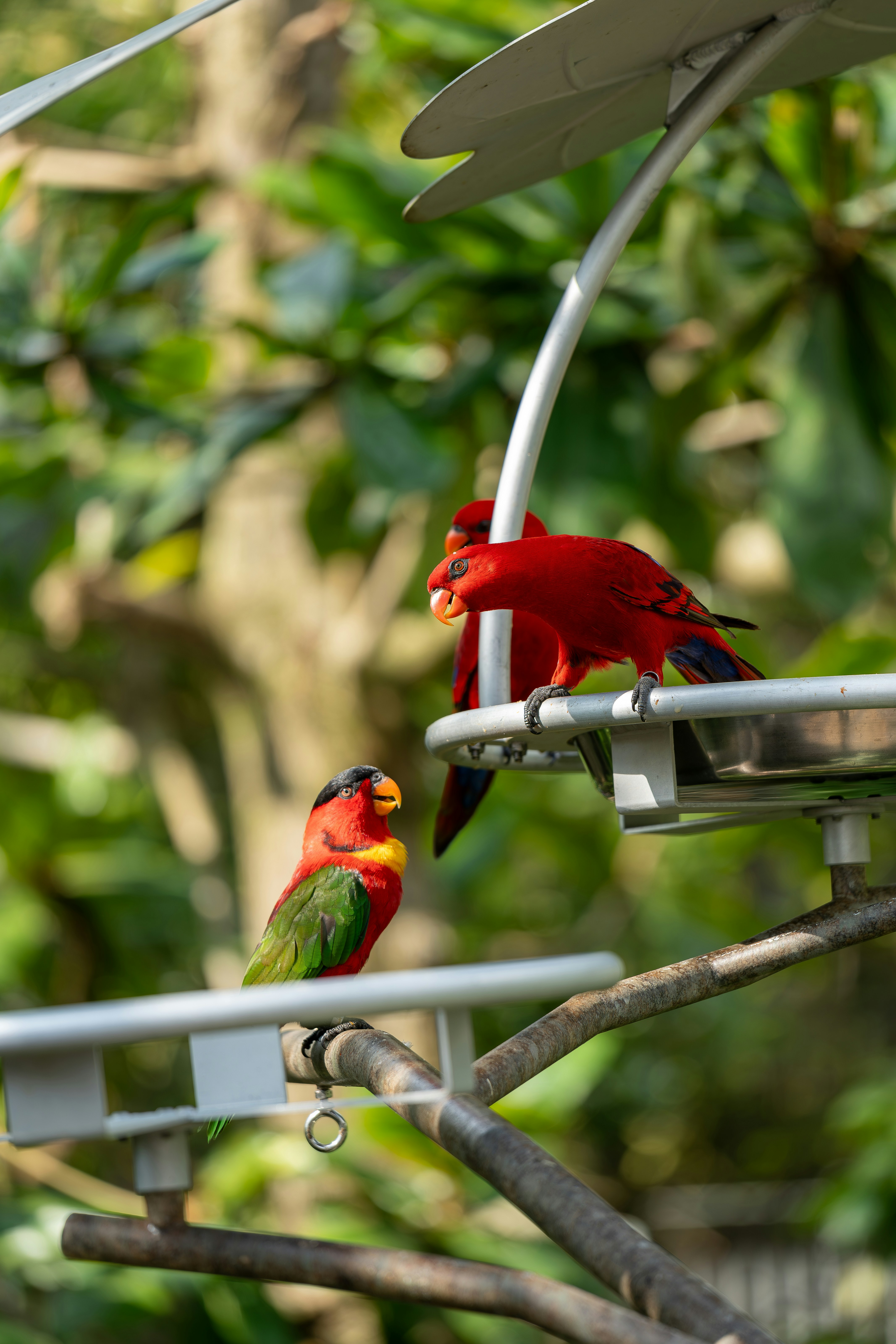 Photo by beingabstrac