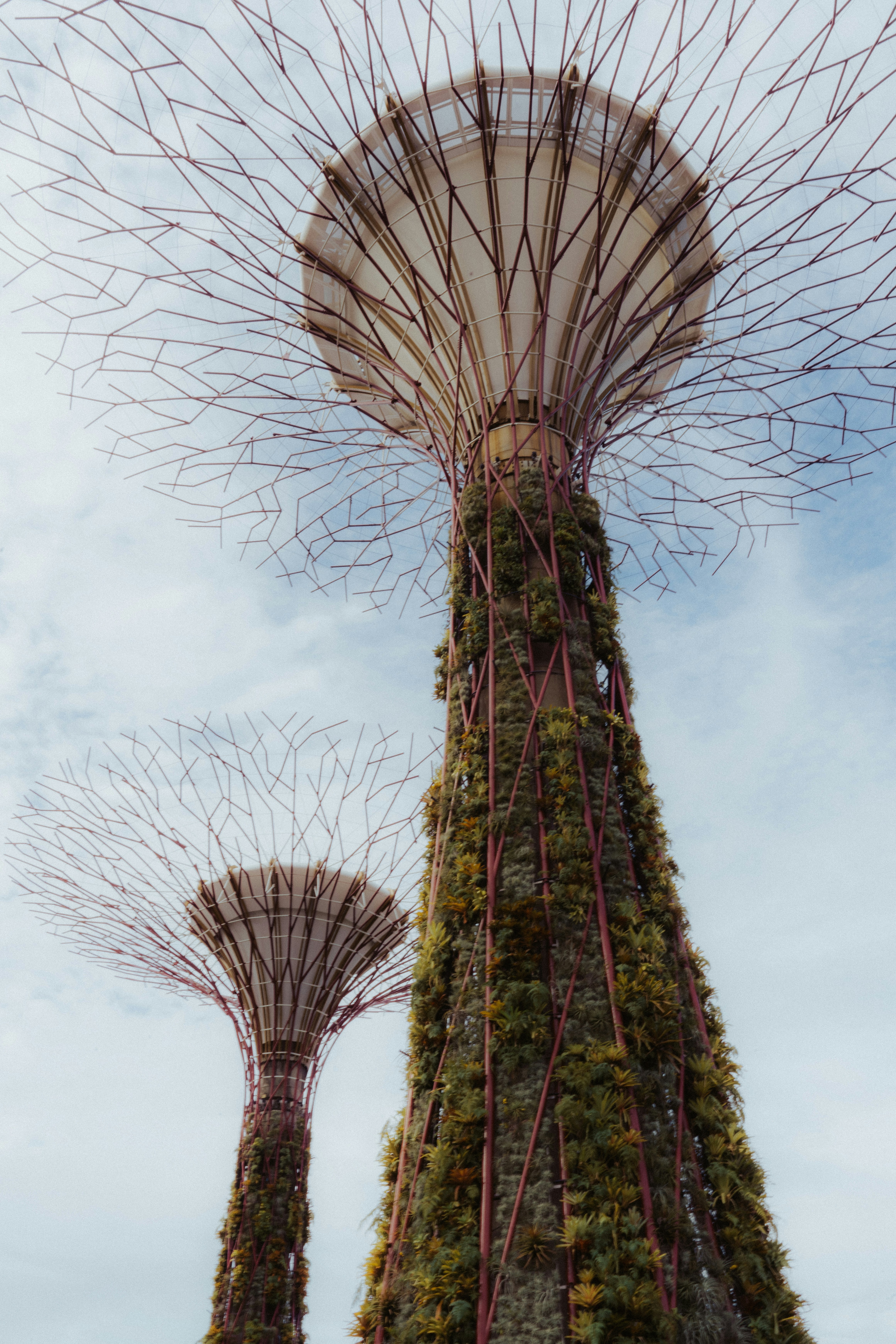 Photo by beingabstrac