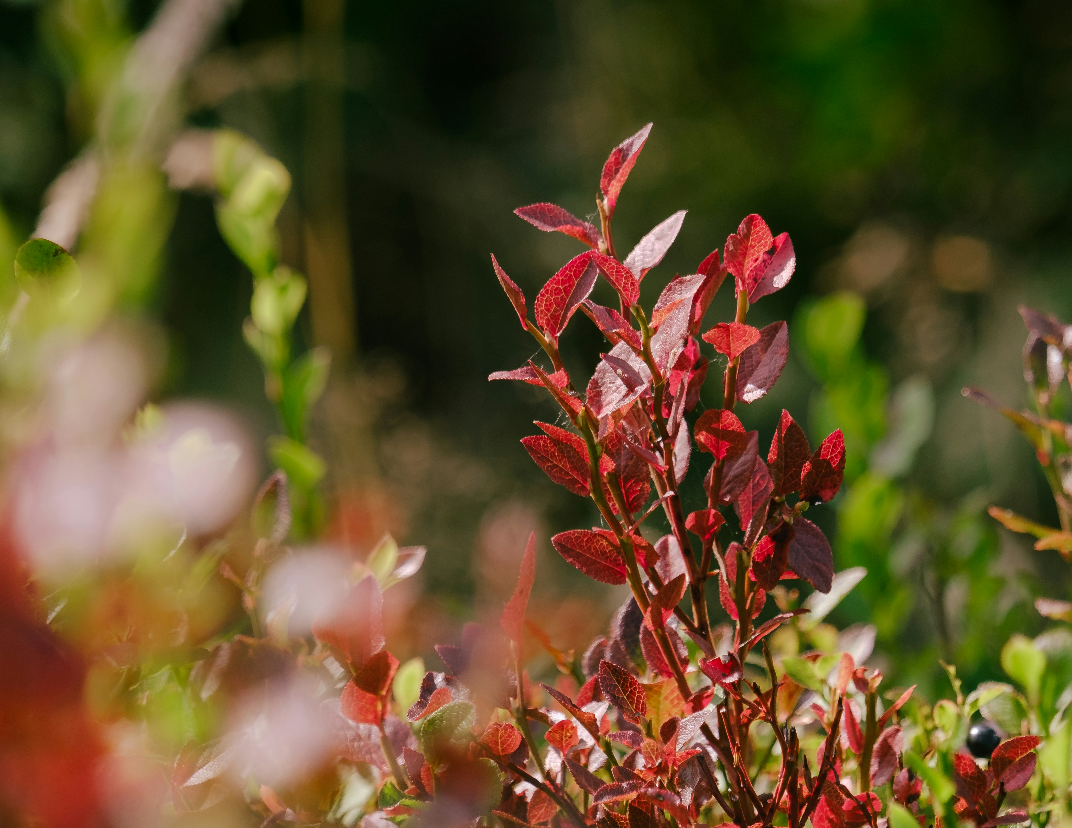 Photo by rory_tucker_photography